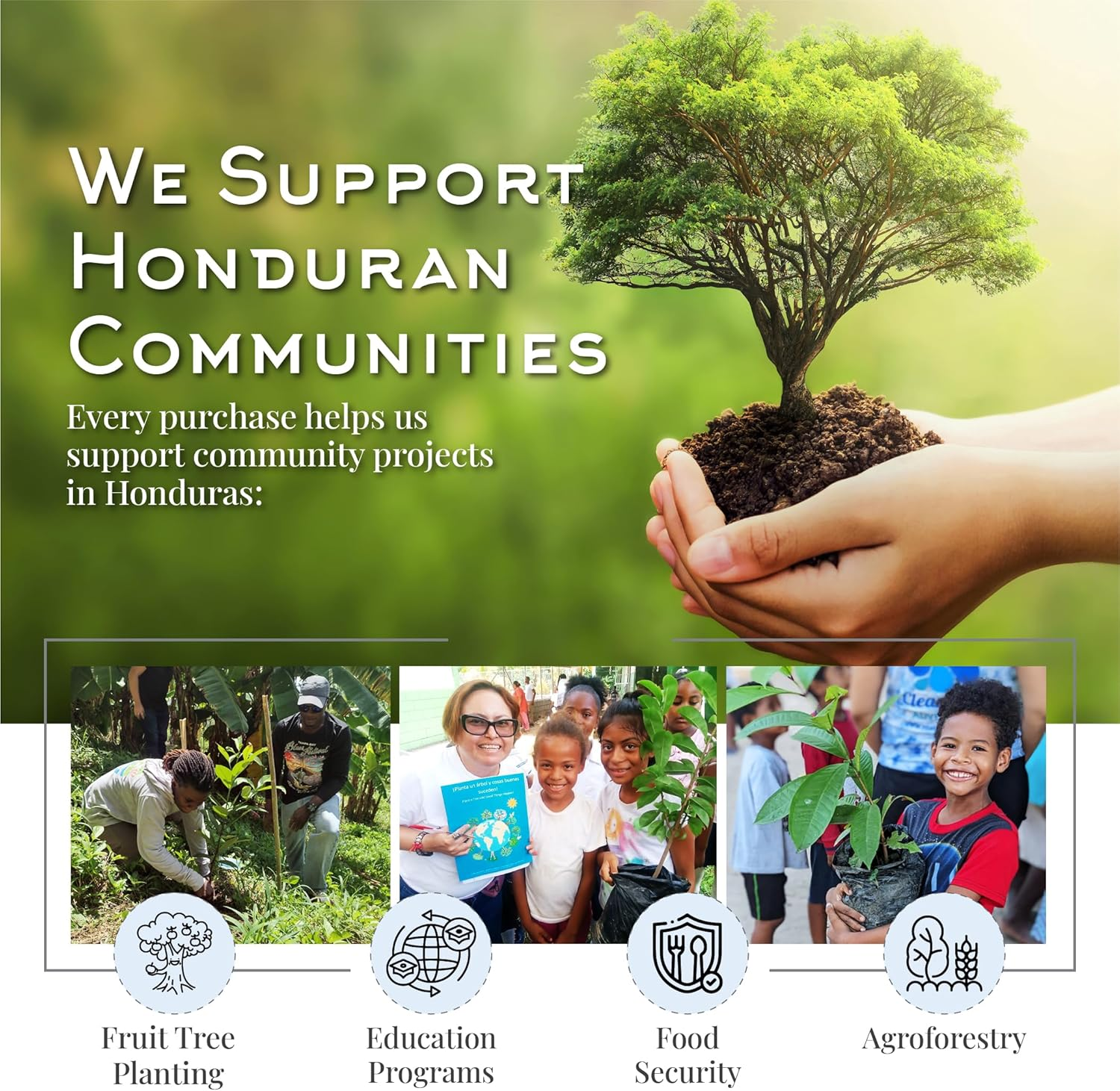 Batana Hair Oil from Honduras | Hair Growth & Scalp Treatment for Men & Women | Batana Oil Specialist | Honduran Owned Company | 100Ml image number 5