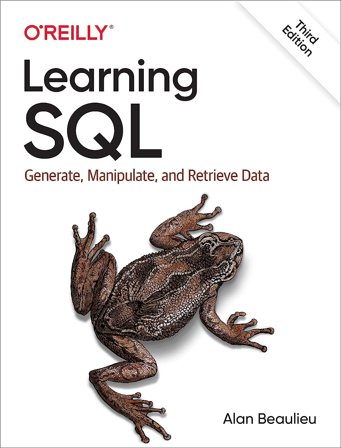Learning SQL: Generate, Manipulate, and Retrieve Data image number 1