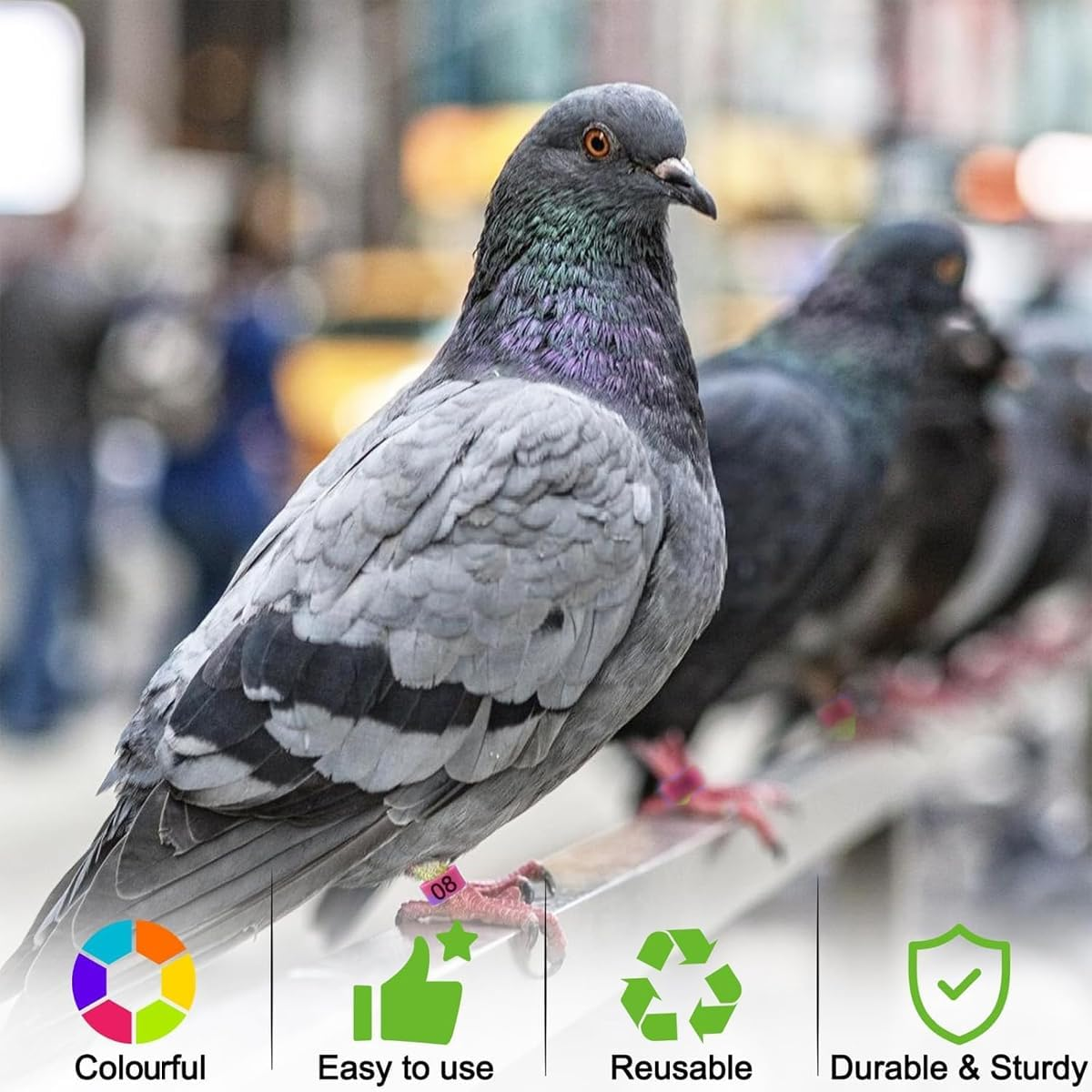 AIMALL 100 PCS Pigeon Bayonet Digital Foot Ring, 10Mm Pigeon Leg Band for Breeding and Racing, Durable Plastic Material, Easy to Use - Dark Blue image number 2