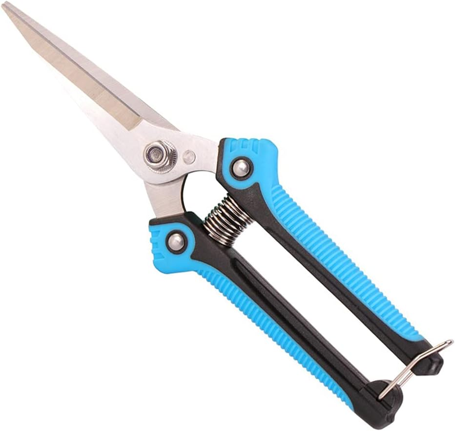 ARFUKA Garden Scissors, Pruning Shears with Straight Blades, Florist Scissors, Multi-Tasking Garden Snips for Arranging Flowers, Trimming Plants and Harvesting Herbs, Fruits or Vegetables (Blue) image number 5