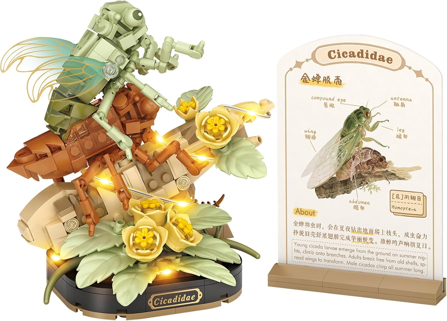 MEIEST Insect Flower Building Blocks Set,Colorful Construction Building Bricks Toy with a Science Popularization Card,Creative Home Decoration (Honeybee)