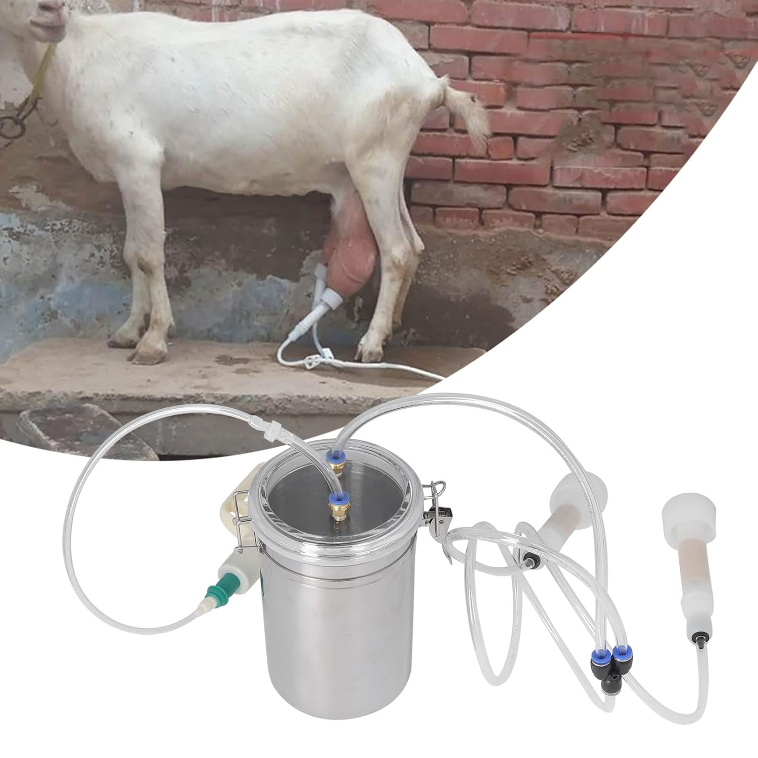 Manual Milking Machine 2000Ml Effort Saving Control, Stainless Steel Bottle Portable Milking Kit, 2L Goat Milking Machine, Cow Milking Machine Portable for Milk Plant Farm image number 2