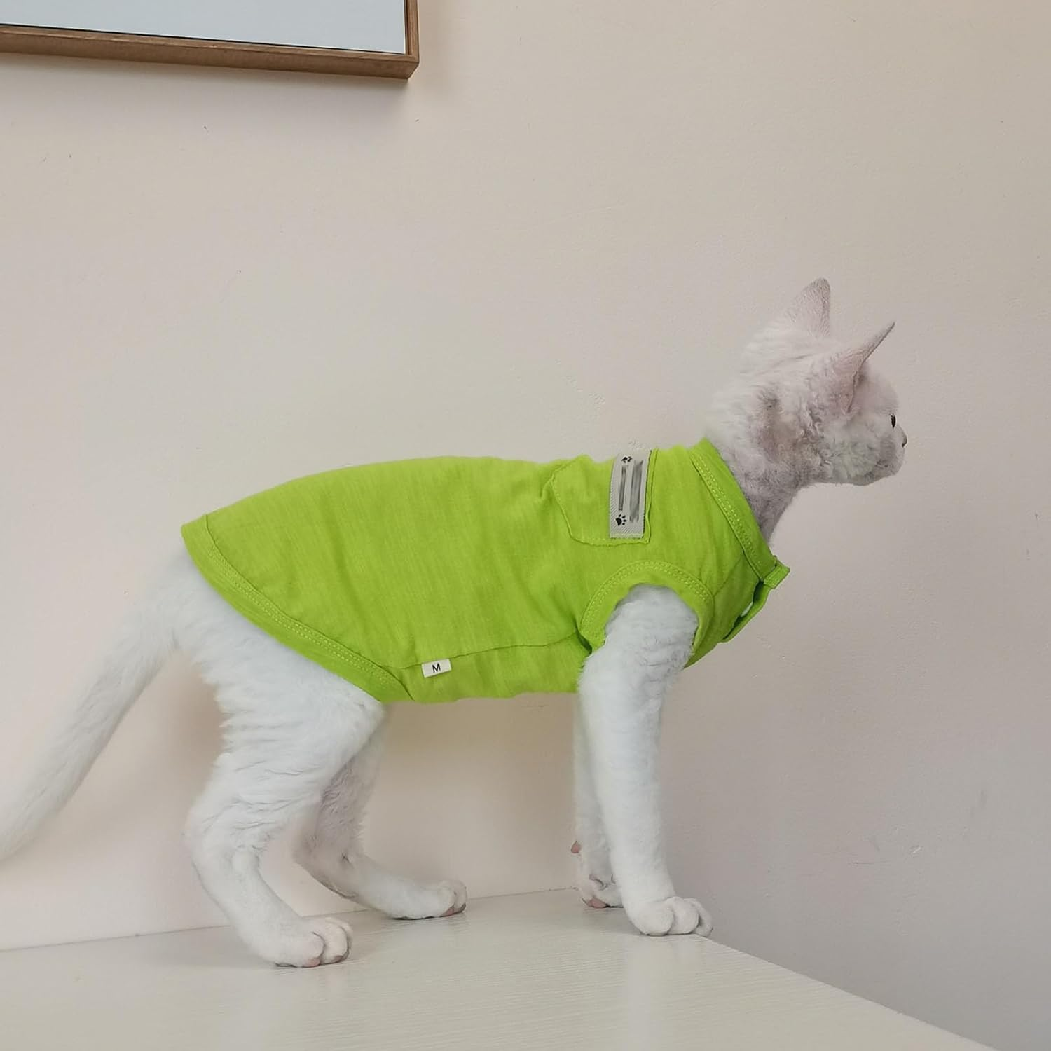 UOSIA Hairless Cat Clothes Summer Cat T-Shirt Breathable Soft Cat Shirts for Cats Only Cotton Pet Pajamas Kitten Vest for Sphynx Cornish Rex Devon Rex Peterbald Small Dogs image number 2