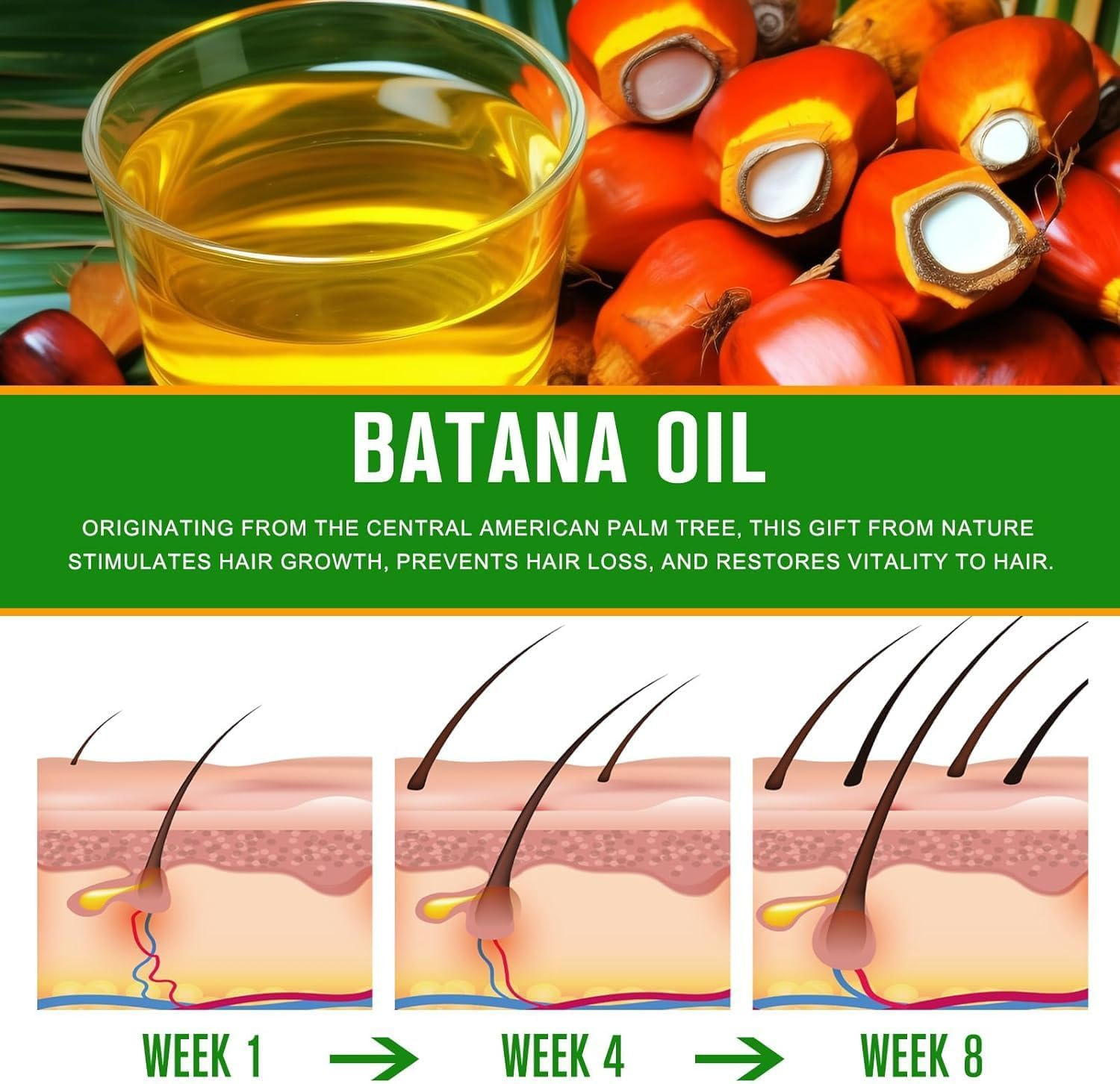 Batana Oil for Hair Care Batana Oil from Honduras Repair Hair Unrefined Natural Organic Batana Hair Masks for All Hair Tpyes in Men & Women (240G)