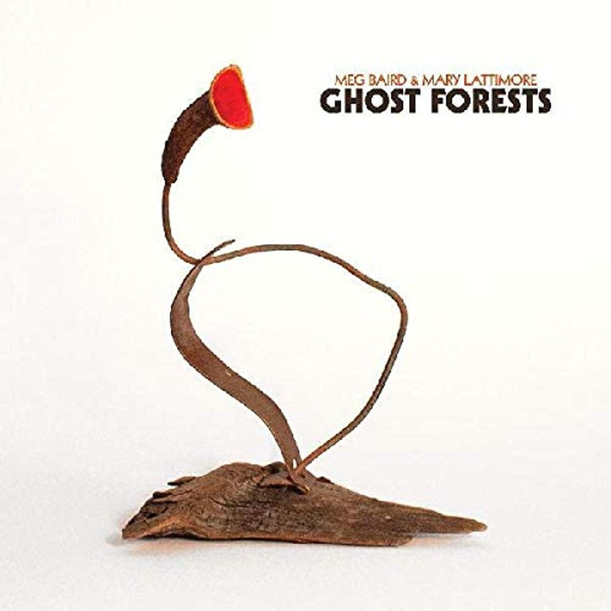 Ghost Forests (Jewel Case)