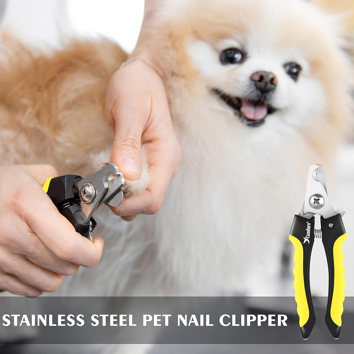 Candure Dog Nail Clippers for Pet Grooming - Professional Cat Nail Trimmers Suitable for Small to Medium Breeds with a Safety Guard & Nail File image number 1