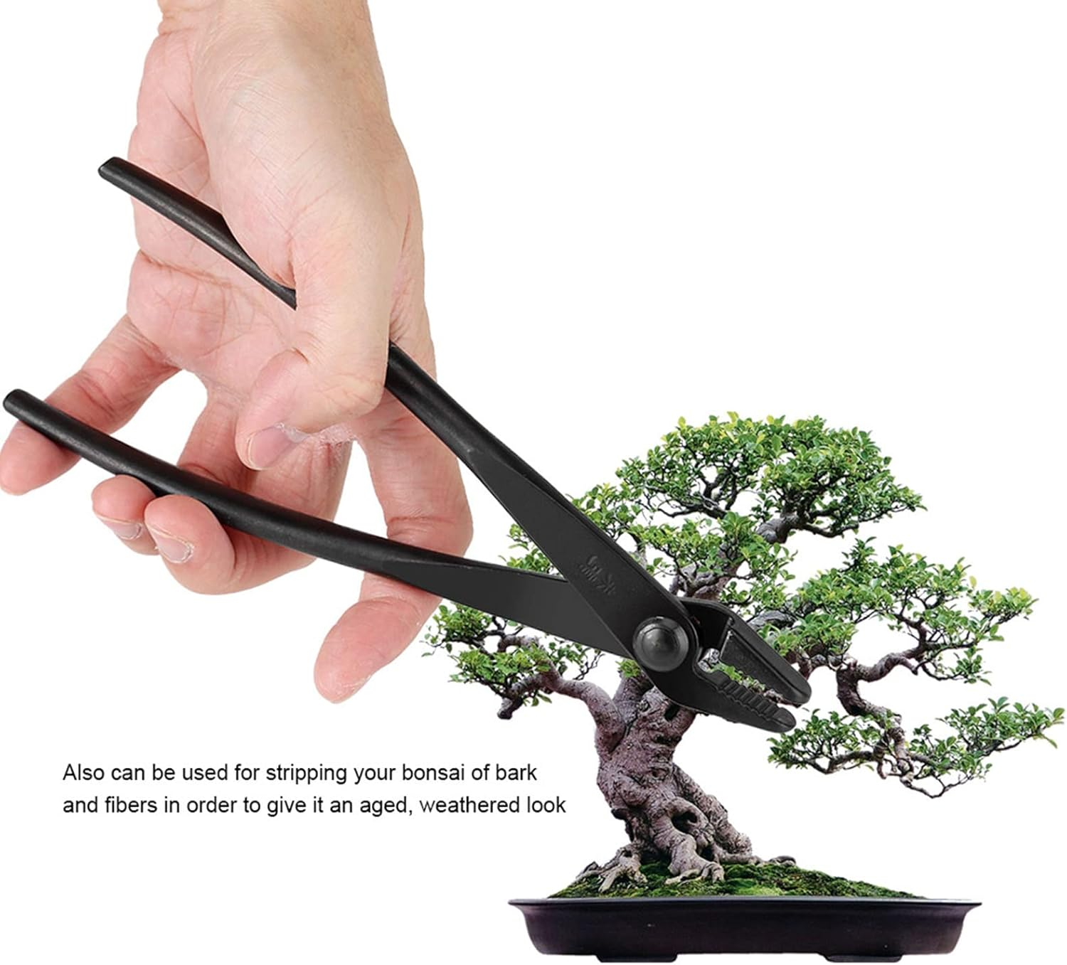 Bonsai Pliers, Bonsai Tool Wire Pliers for Garden Bonsai Branches Cutting image number 1