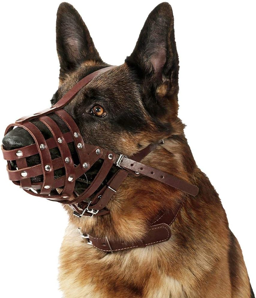 Collardirect Dog Muzzle German Shepherd Dalmatian Doberman Setter Leather Basket Medium Large Breeds Black Brown (Brown, Large) image number 4
