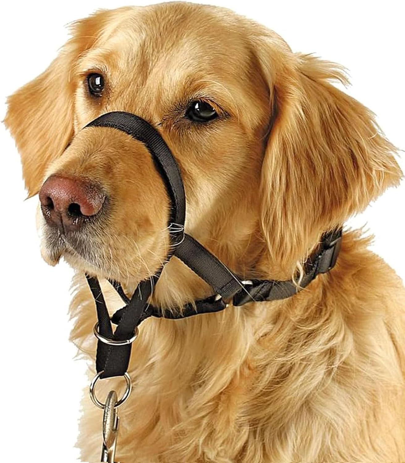 Barkless Dog Head Collar, No Pull Training Tool for Dogs on Walks, Includes Free Training Guide, 5 (M, Black)