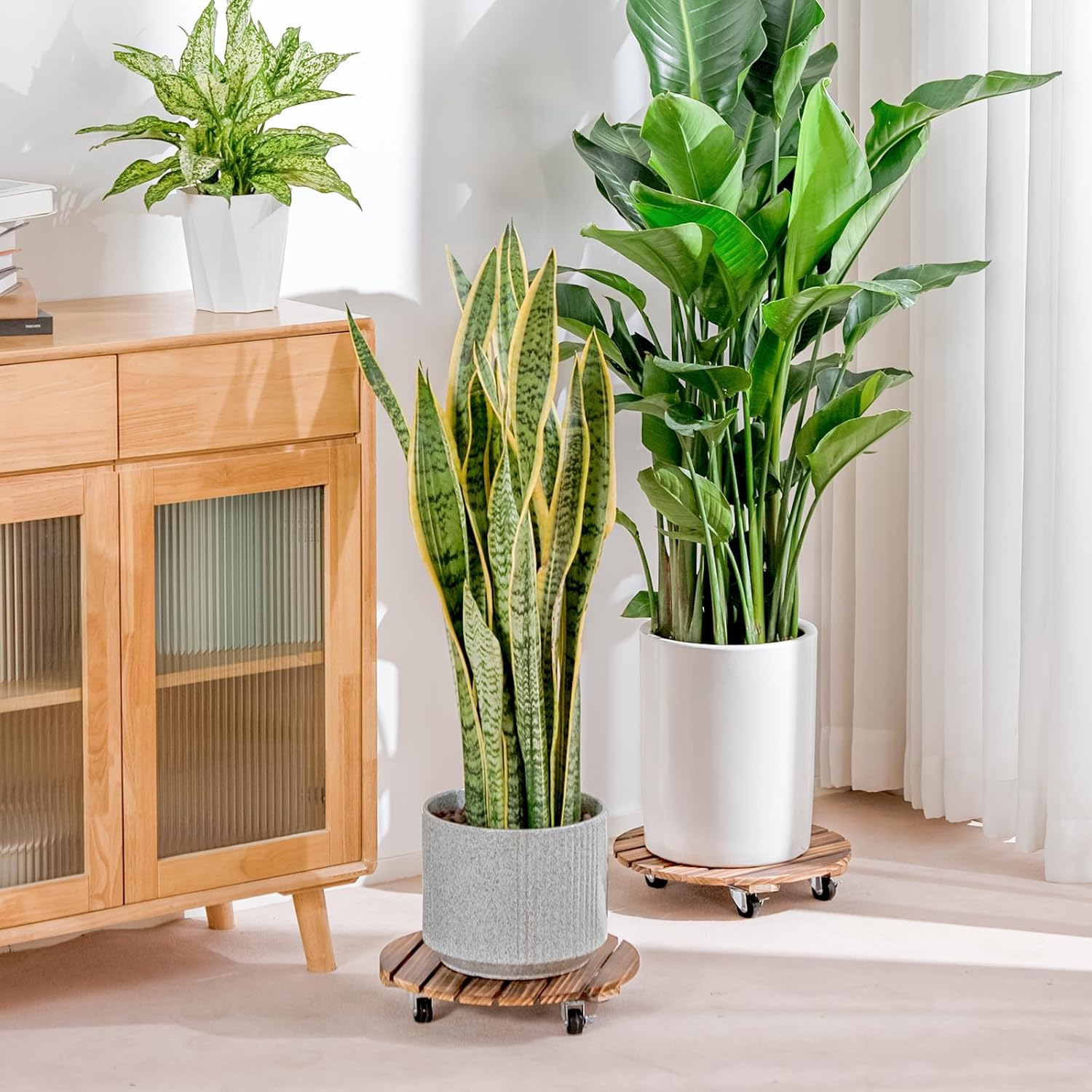 Bamworld Plant Stand Outdoor Rolling Tray Plant Caddy with Wheels 12In Plant Caster with Wheels Planter Caddy Flower Cart Plant Dolly for Heavy Duty Large Plants Plant Rollers (2 Pack ) image number 4