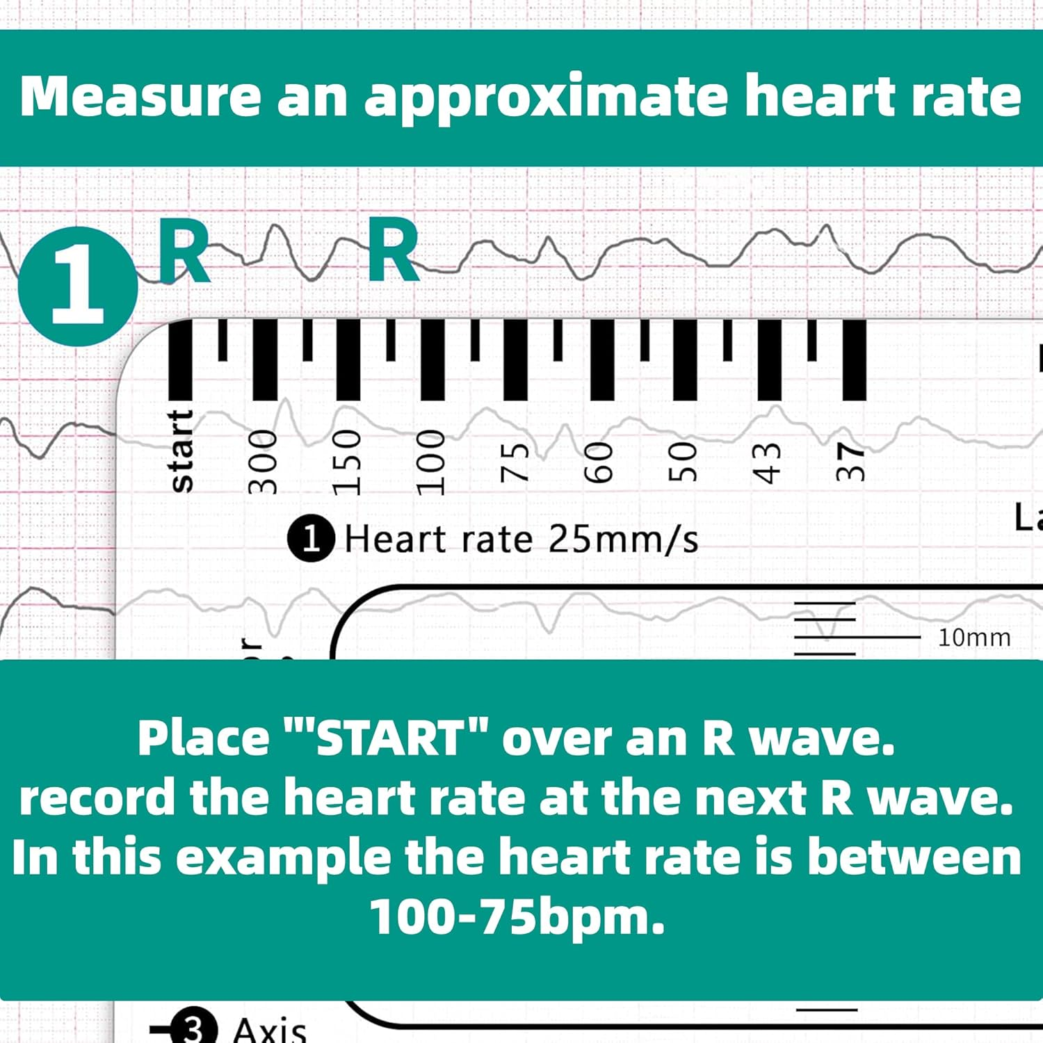 2 Pack Ecg-7-Step-Ruler - ECG/EKG Interpretation Tool, Portable Pocket Ruler, ECG Reference Guide, EKG Ruler Horizontal Badge Card Tool for Accurate Heart Rate and Interval Assessment image number 3