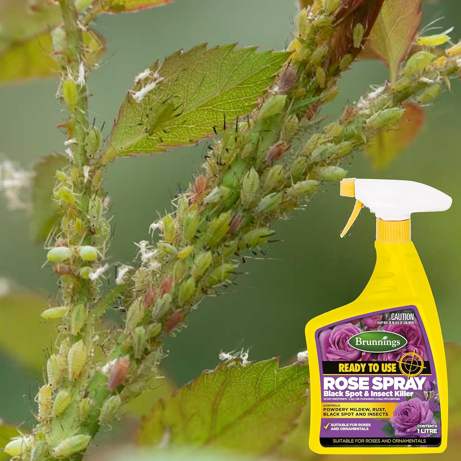 Brunnings White Oil Ready to Use Insecticide Spray 1 Litre image number 3