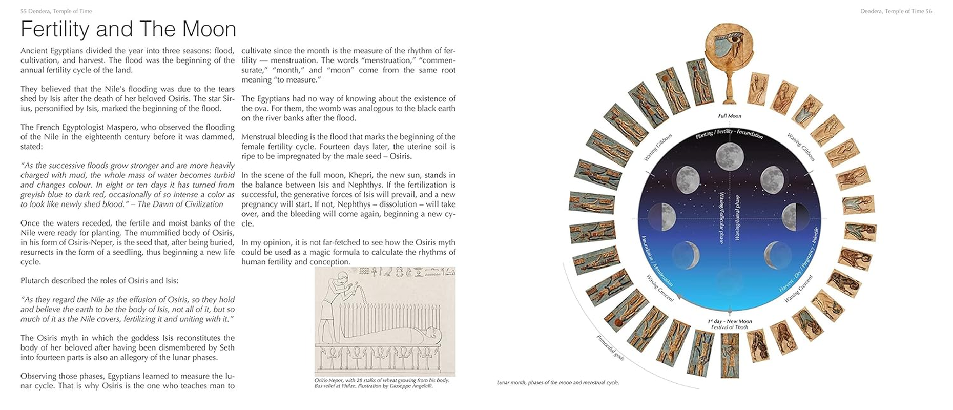 Dendera, Temple of Time: the Celestial Wisdom of Ancient Egypt image number 5