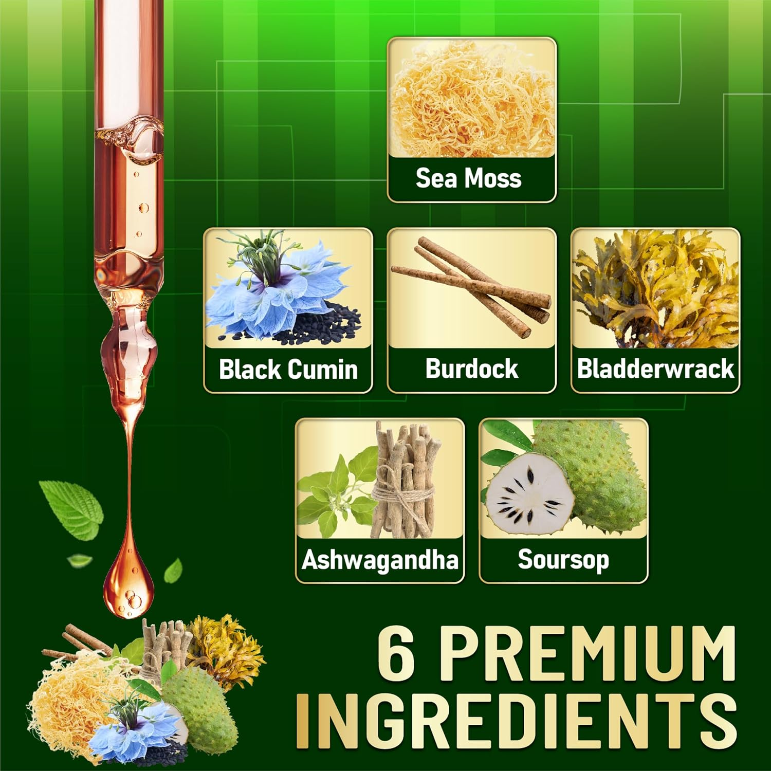 6In1 Sea Moss Liquid Supplement Combine Irish Sea Moss, Black Cumin, Burdock Root, Bladderwrack, Ashwagandha and Soursop Leaves to Support Skin & Hair Health - 1 FL Oz - 30 Servings image number 5