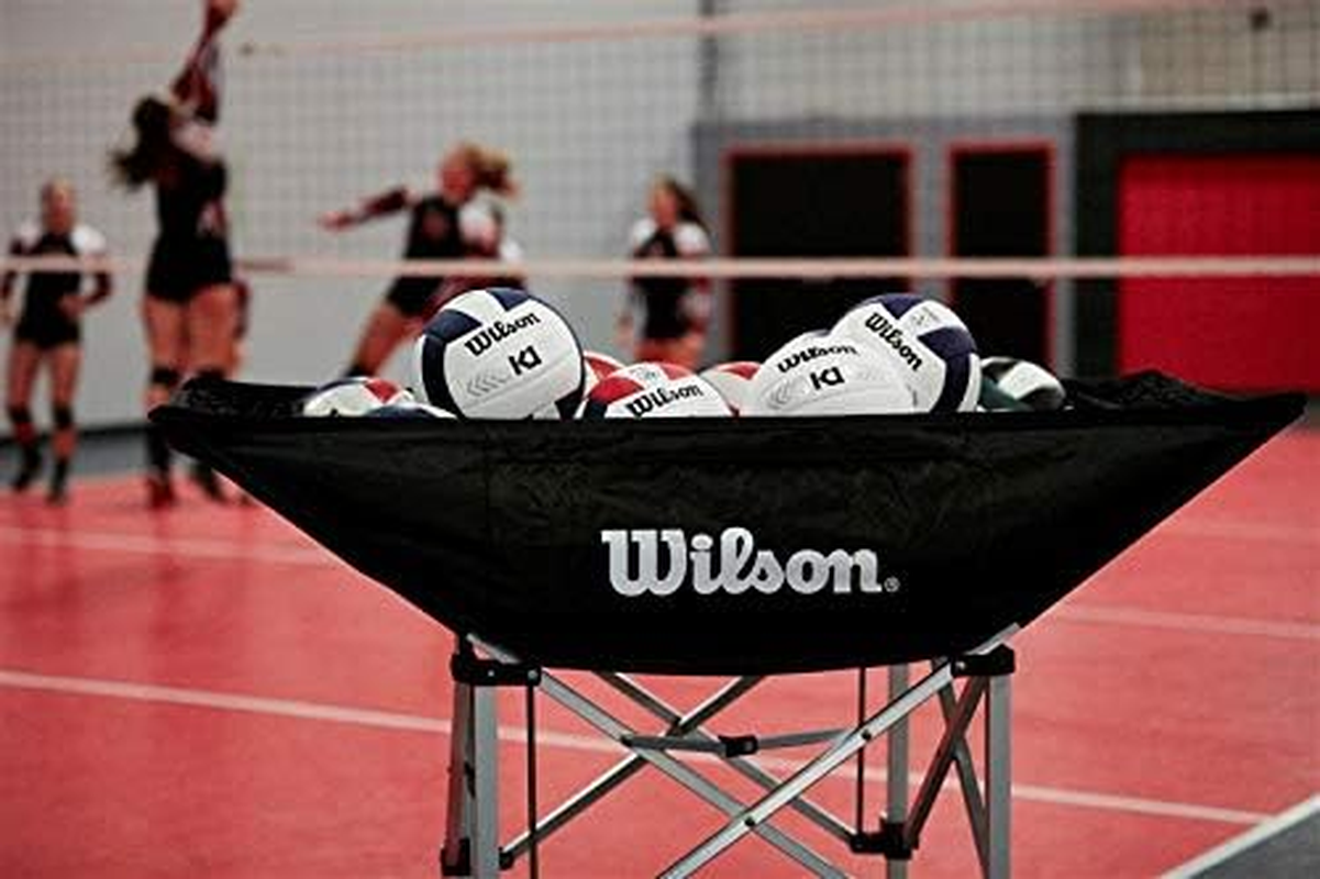 Wilson Indoor Game Volleyballs - Official Size image number 2