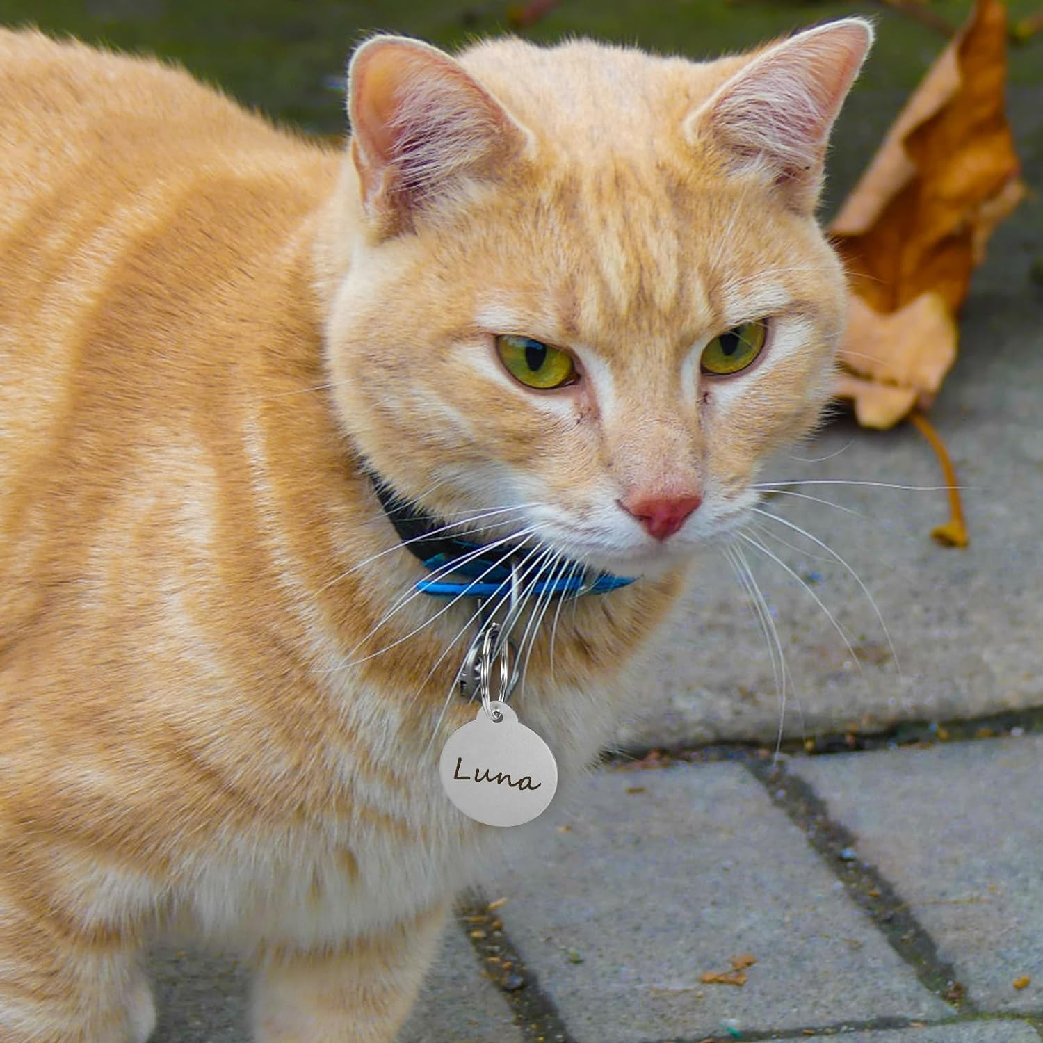 25Pcs Blank Dog Tags for Engraving, 3.1Cm/1.2In Dog Name Tags Cat Pet ID Personalized, round Metal Stamping Blanks Aluminum Metal Tags with Key Ring Keychain image number 2