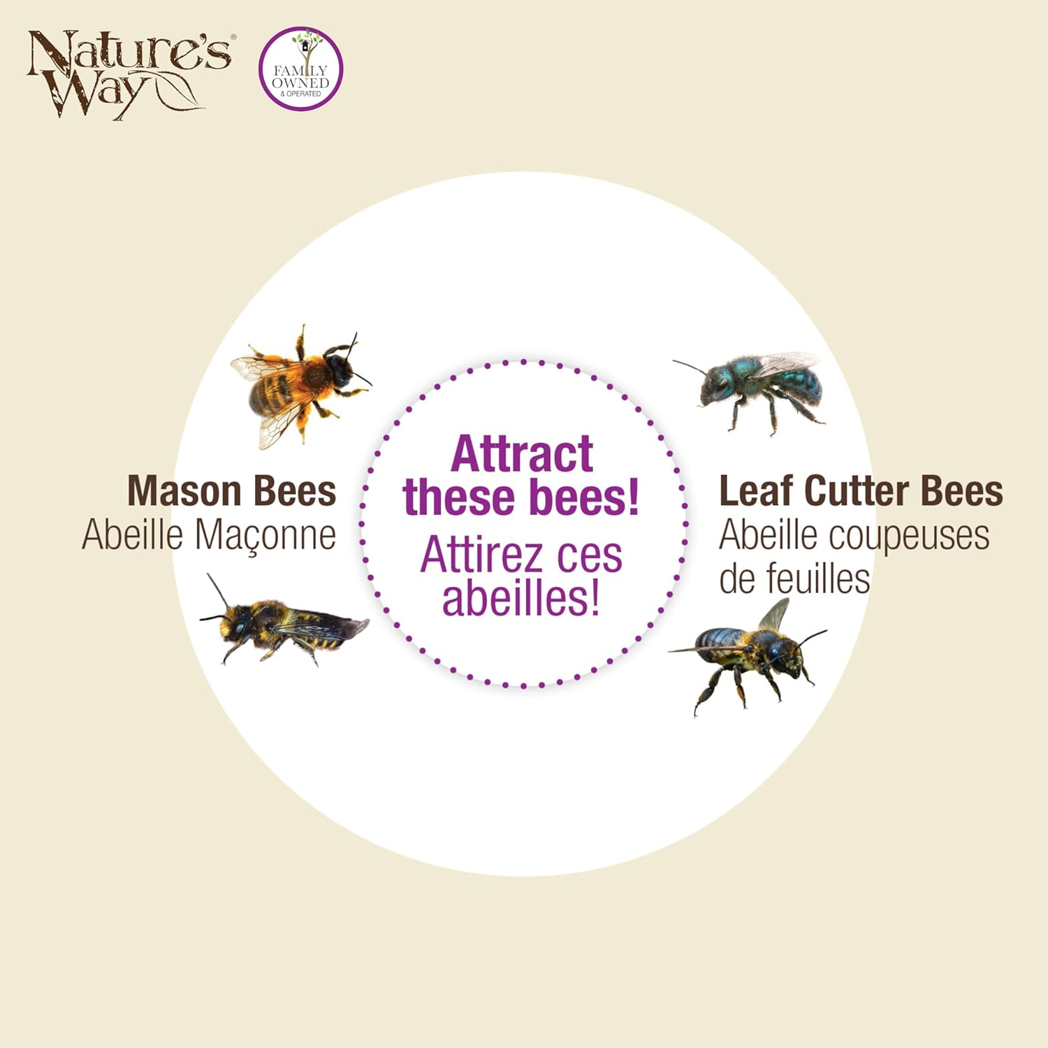 Nature'S Way Bird Products PWH1-C Teal Bee House - Teal image number 3