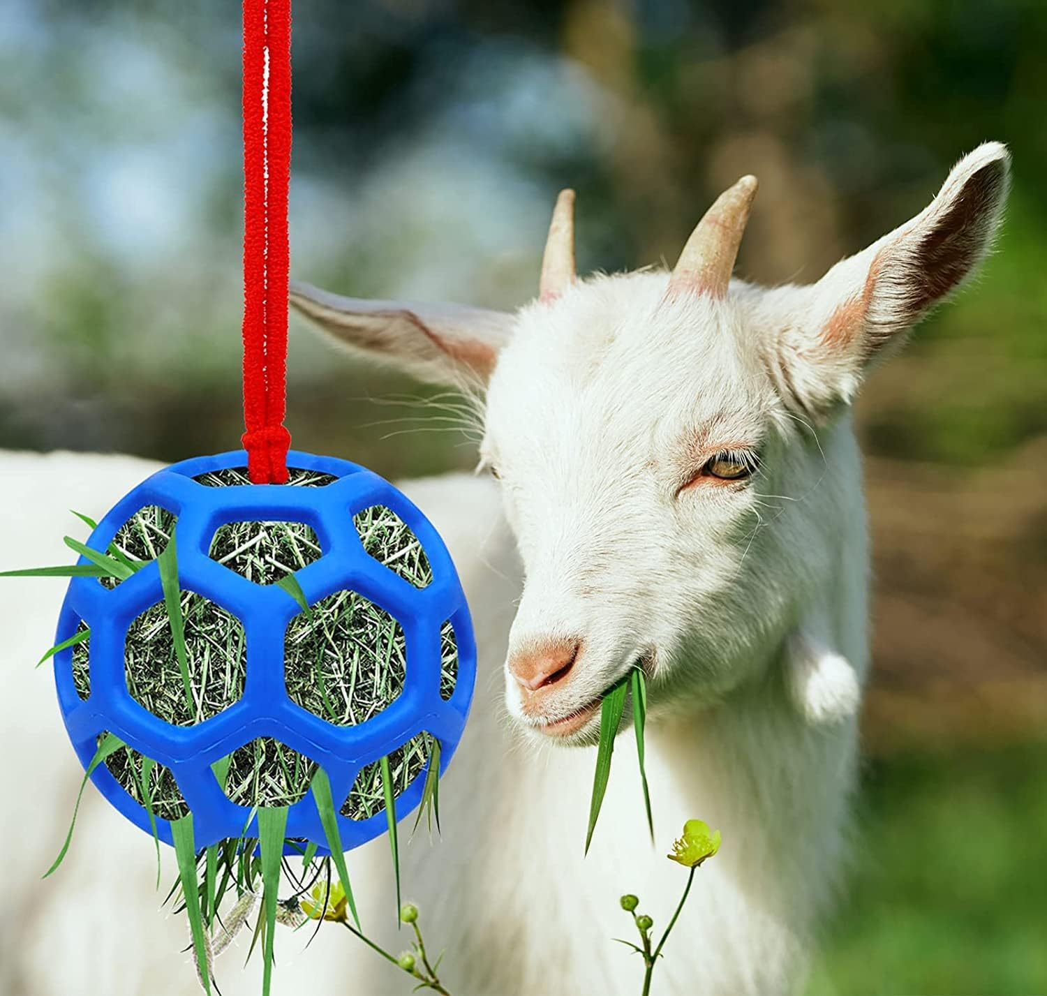 Horse Treat Ball Hay Feeder Holder Hanging Slow Feeding Toy for Goat Sheep Horse Stable Stall Paddock Rest Relieve Stres image number 3
