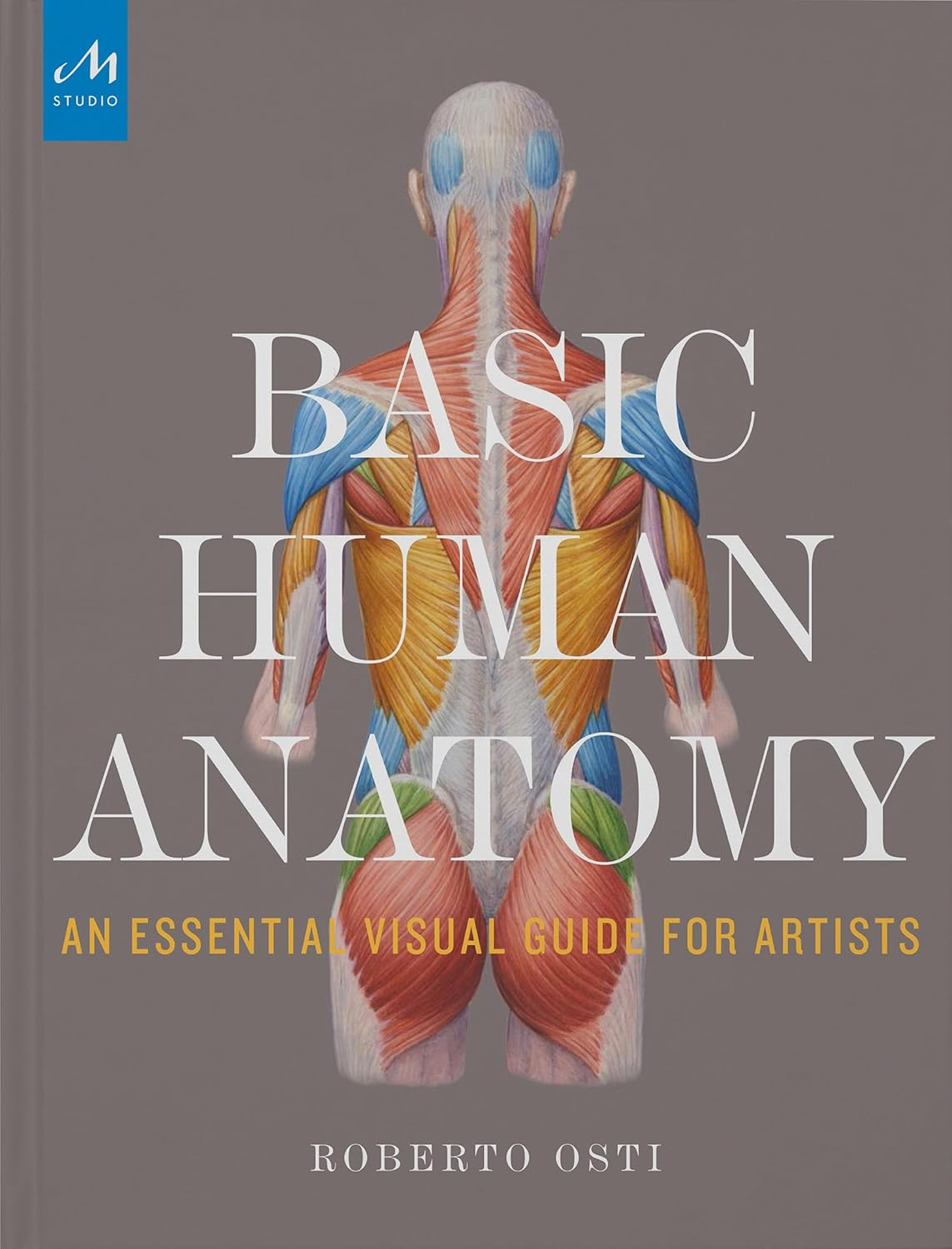 Basic Human Anatomy: an Essential Visual Guide for Artists image number 4