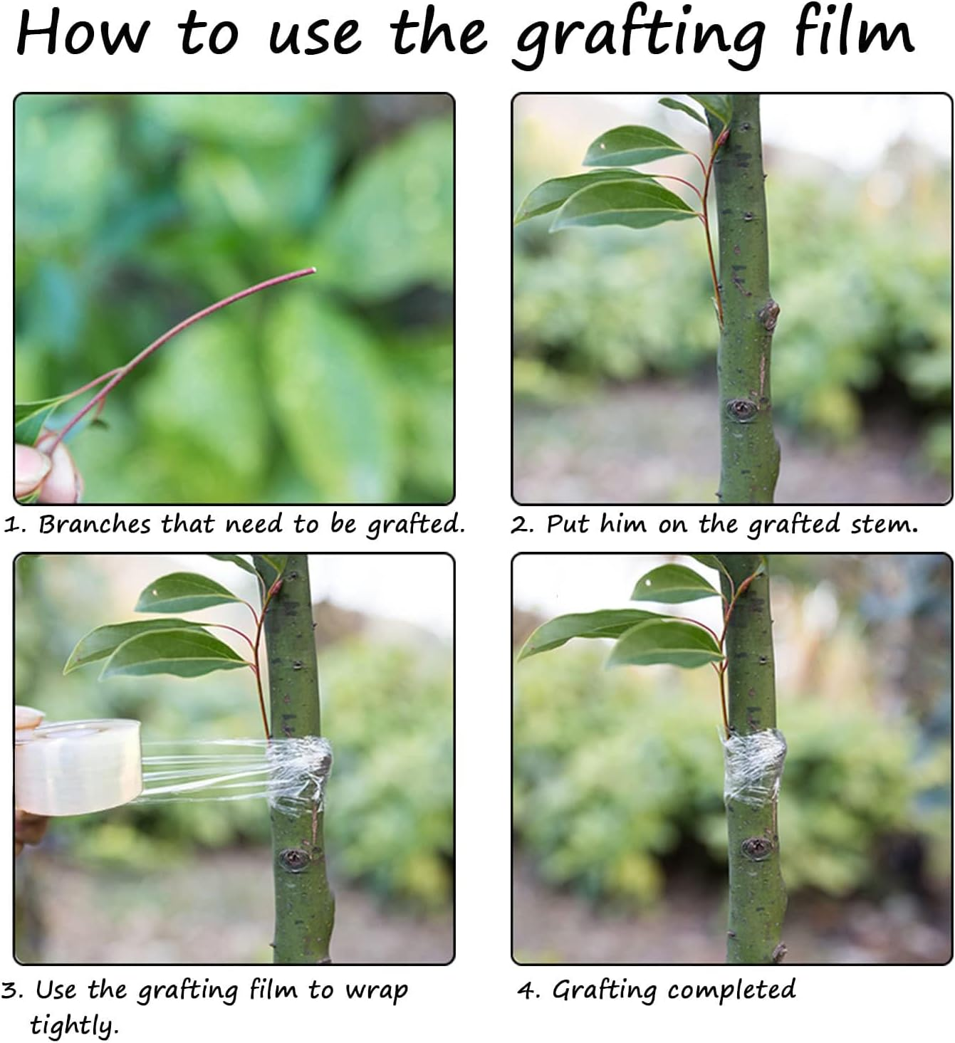 4 Pack Grafting Tape for Fruit Trees, 2 Color Stretchable Floristry Film, Plants Repair Tapes for Floral Fruit Tree and Poly Budding Tape - Green & White image number 6