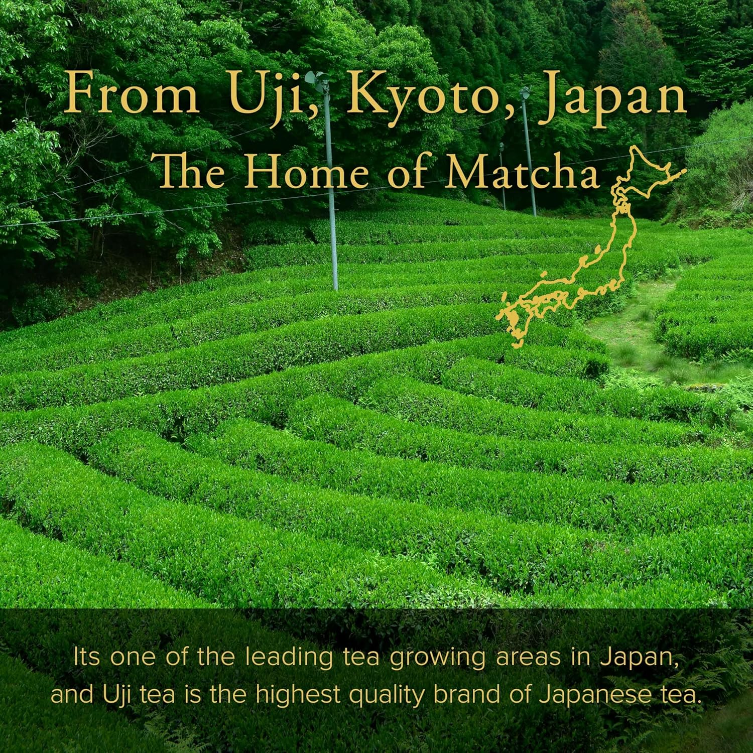 YAMASAN KYOTO UJI Barista Grade Matcha MATSUKAZE, for Lattes and Smoothies, Good Balance of Flavor and Aroma, Authentic Japanese Origin, Vegan, Sugar Free, Made in Uji, Kyoto, Japan 100G image number 3