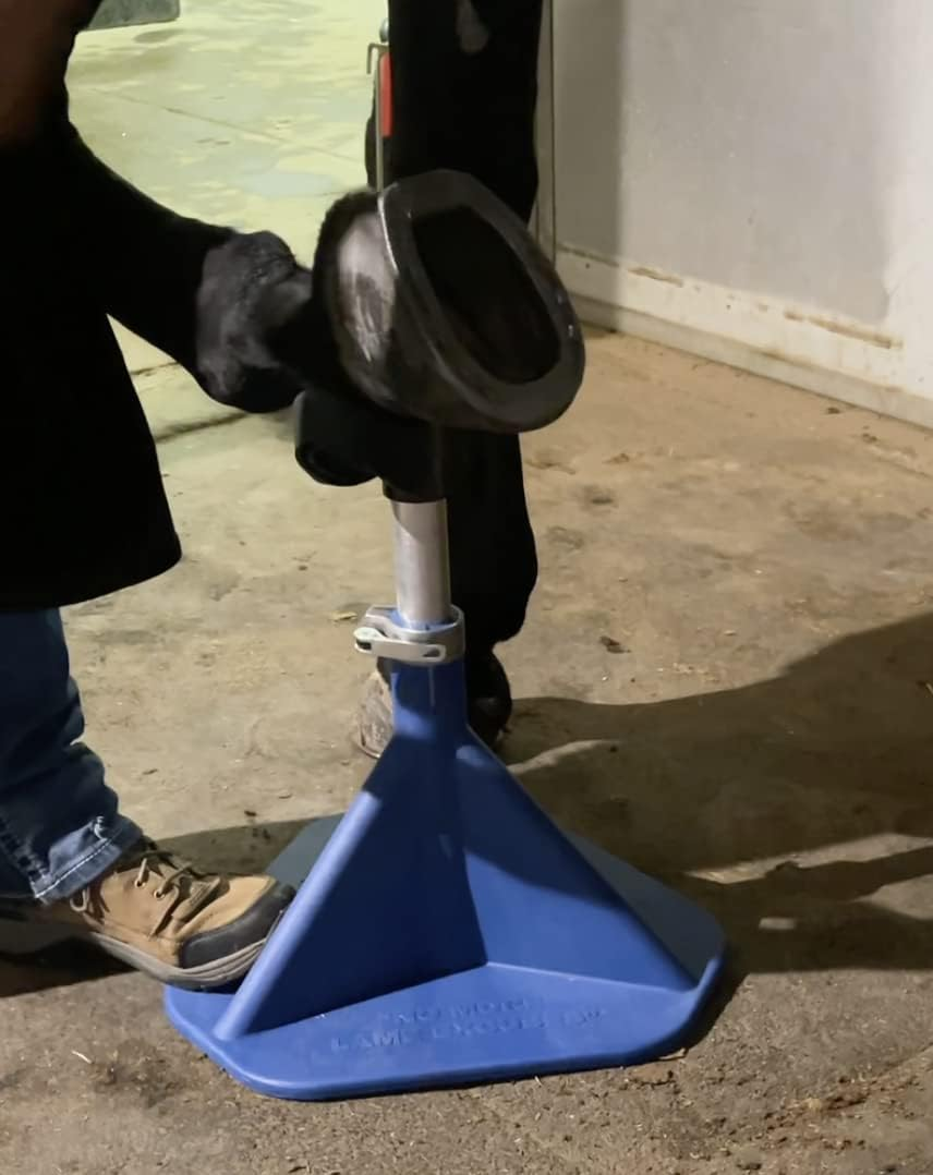 Hoof-It&reg; Blacksmith Hoof Buck - Blue image number 5