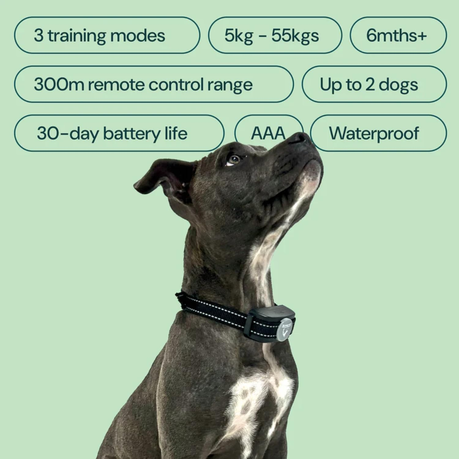 HW101 Remote Dog Training Collar (1 Dog) with Beep Tones, Vibration, Shock, Waterproof, Safe anti Barking Device for Dogs, Dog Bark Collar for Small Medium Large Dogs, Black & Grey image number 5
