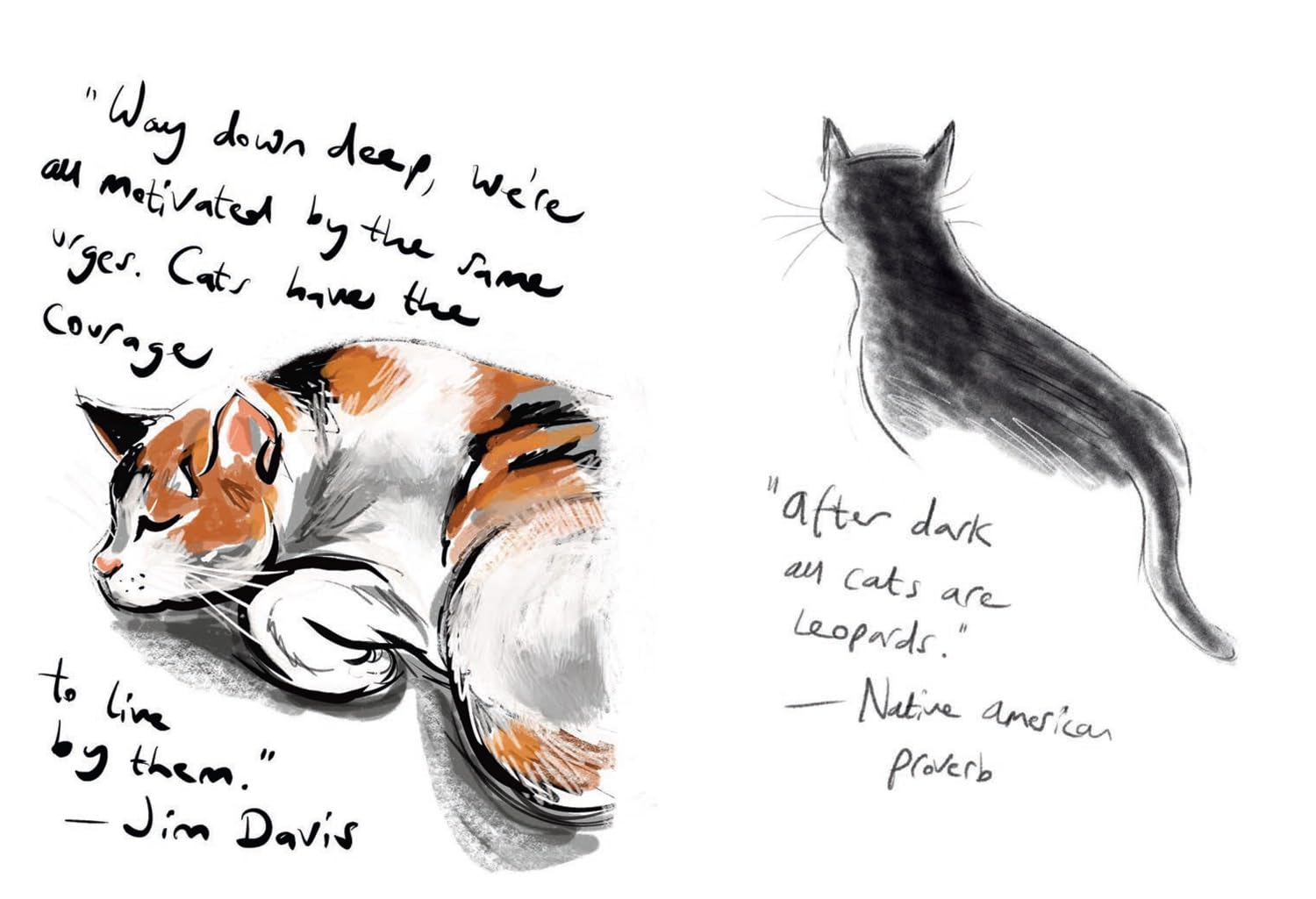 Puss in Books: Our Best-Loved Writers on Their Best-Loved Cats image number 3