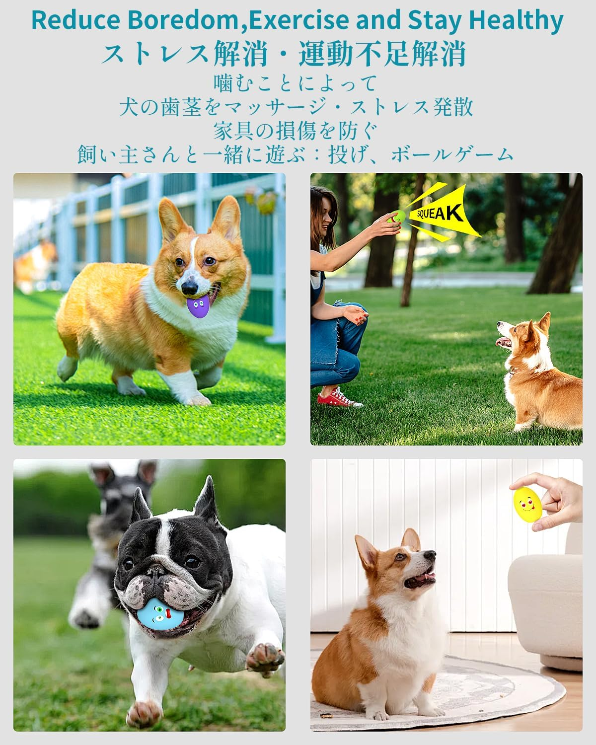 Dog Toys Squeaky, [5 Pack] Soft Puppy Egg Balls, Funny Interactive Squeak Pet Chew Toy for Puppies Small Medium Breed