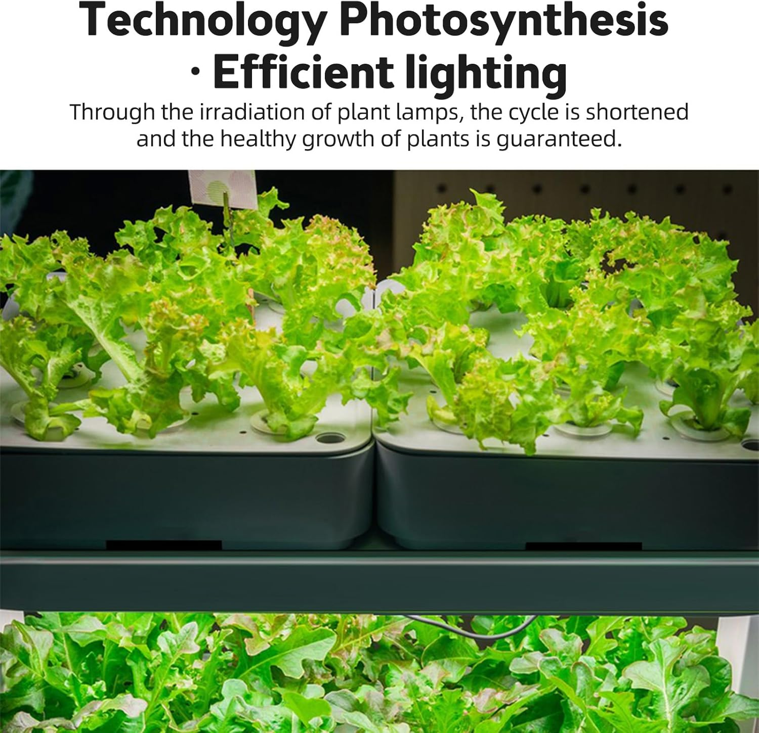 LED Plant Grow Light Strips 6.2W 126LED 4000K 169.2Lm Bright Grow Lamp with 8H/12H/16H Timer 5 Dimmable Brightness Growth Light for Green House Hydroponics Succulent 3 Bars image number 4