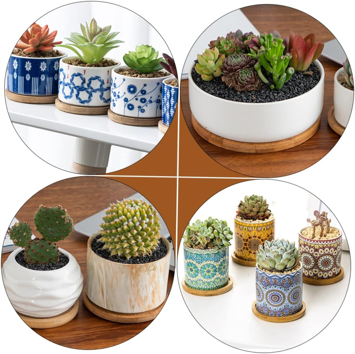 BUTIFULSIC 5Pcs Bamboo round Plant Pot Trays Set for Indoor and Outdoor Gardening, Potted Plant Flowerpot Bottom Trays Multiple Sizes (6.5Cm to 12Cm) Suitable for Succulent and Bonsai Pots image number 5
