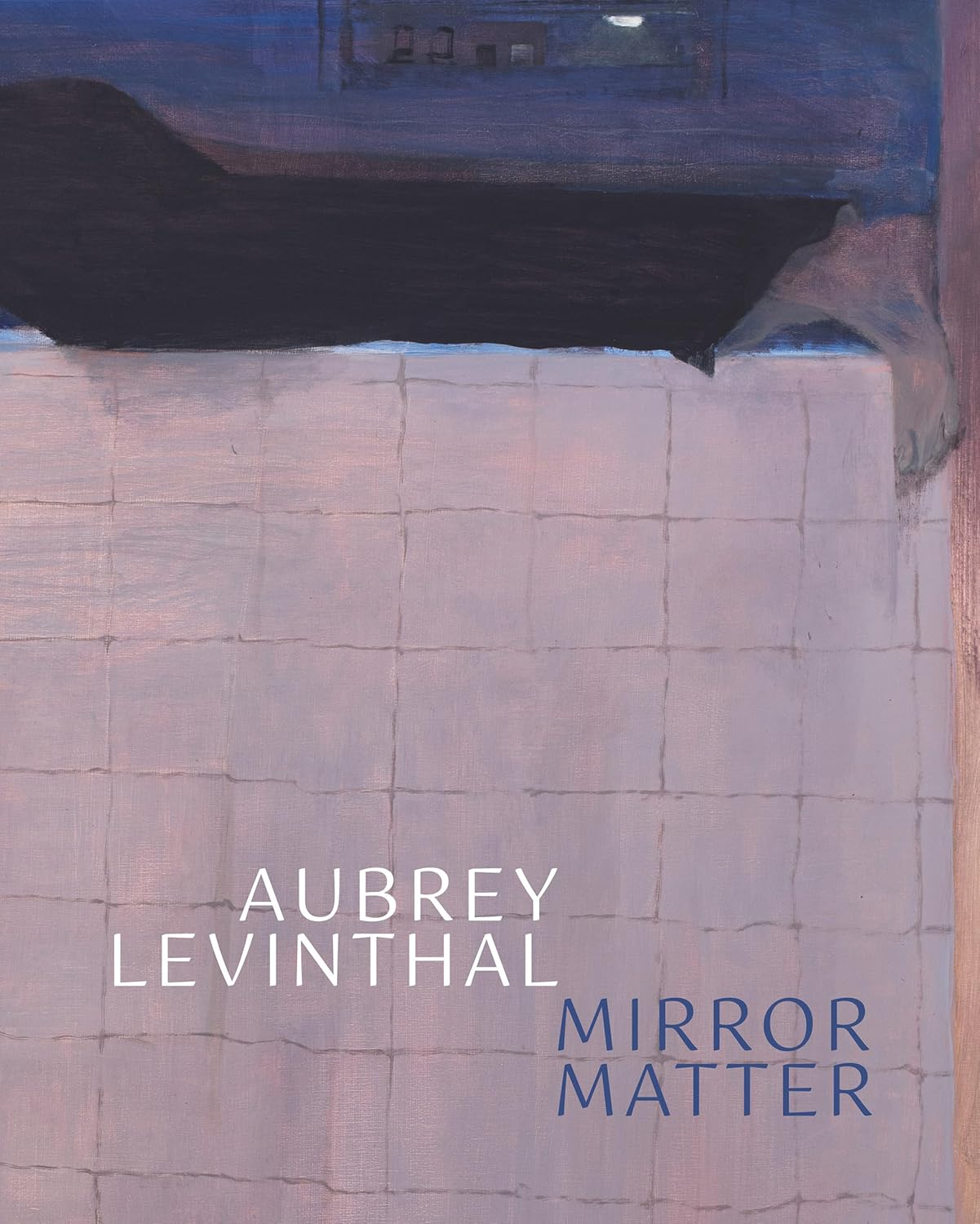 Aubrey Levinthal: Mirror Matter