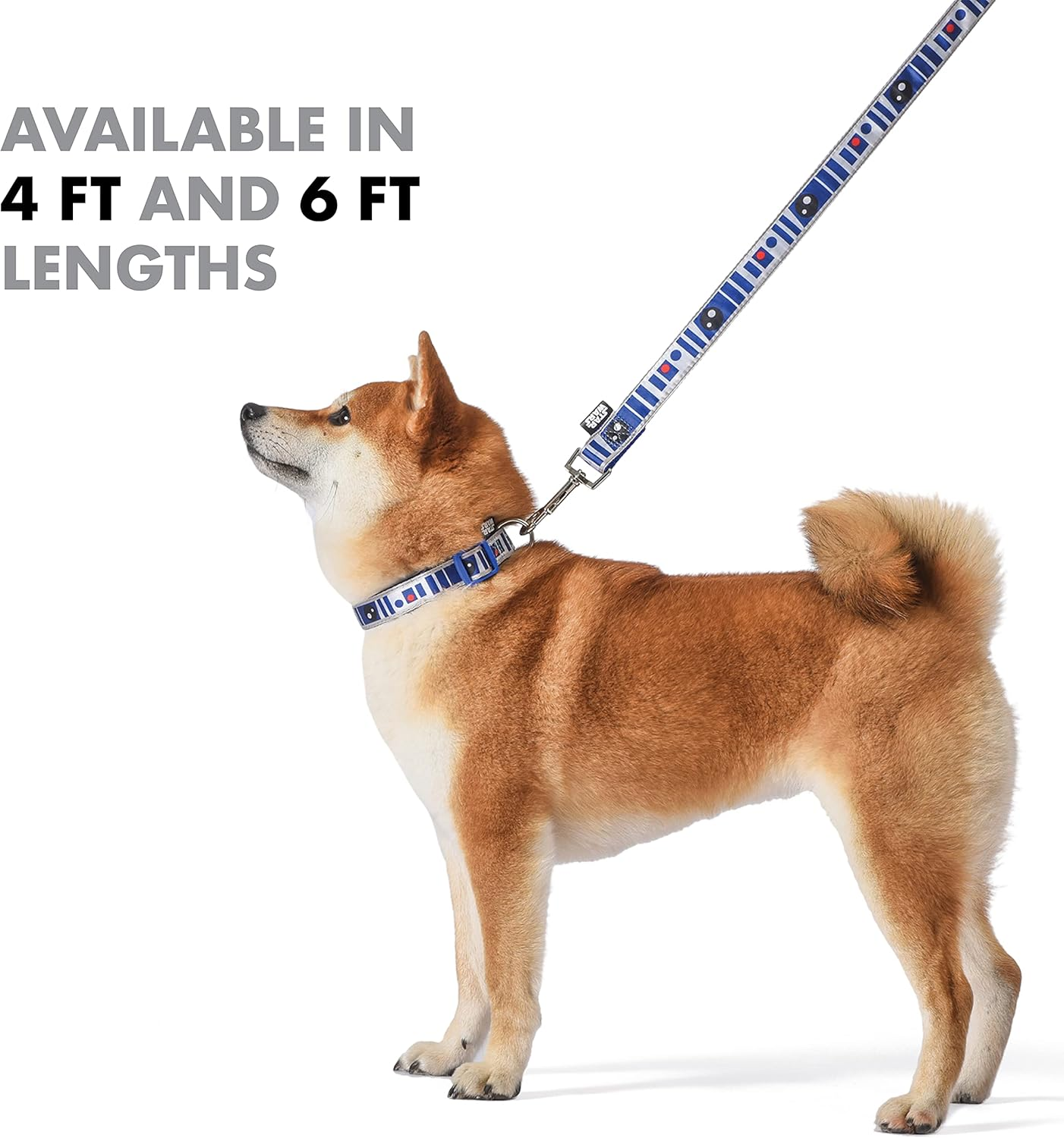 Star Wars for Pets R2D2 Droid 6 Foot Dog Leash | 6 Ft Dog Leash Easily Attaches to Any Dog Collar or Harness | R2D2 Blue Nylon Dog Leash 72 Inches for All Dogs,Multi,Ff16655