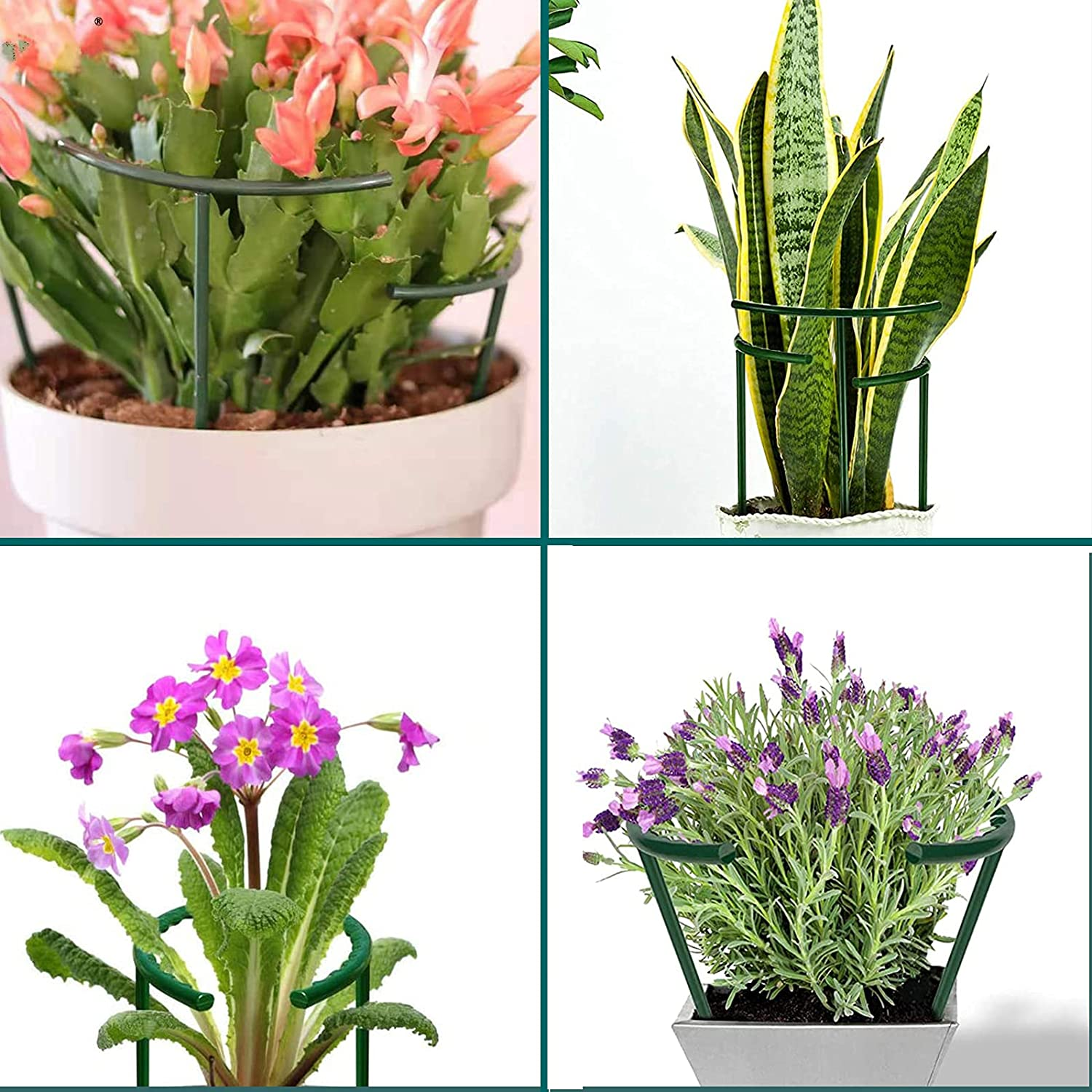 Plant Support for Indoor and Outdoor Potted Plants - Small Half round Plastic Ring Flower Stakes with 20 Garden Clips - 12 Pack image number 3