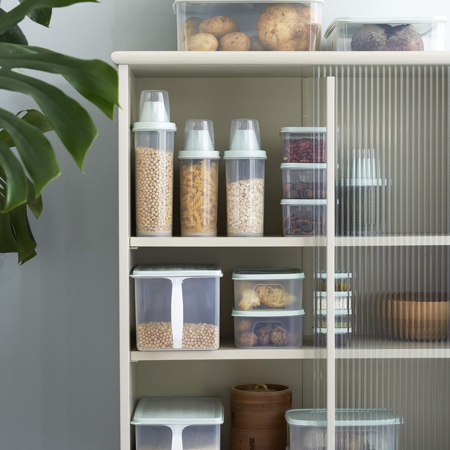 Citylife 2 PCS 2.5 LB Dog Food Containers Small Pet Cat Food Storage Container Pour Spout Measuring Cup Bird Dry Food Dispenser with Lid image number 5