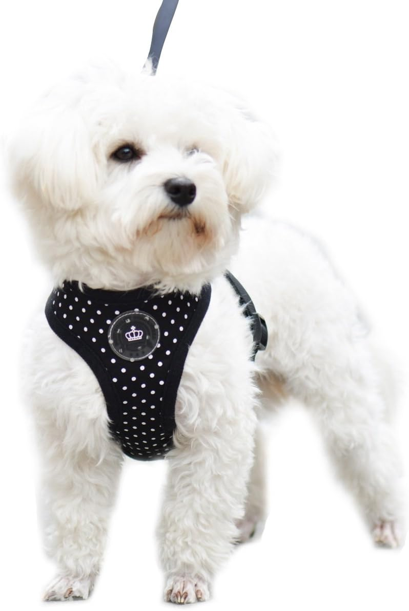 EXPAWLORER Classic Plaid Puppy Harness - Small Dog Collar and Leash - Soft Mesh Padded Adjustable Small Dog Vest Harness No Pull, Reflective Escape Proof for Outdoor Walking