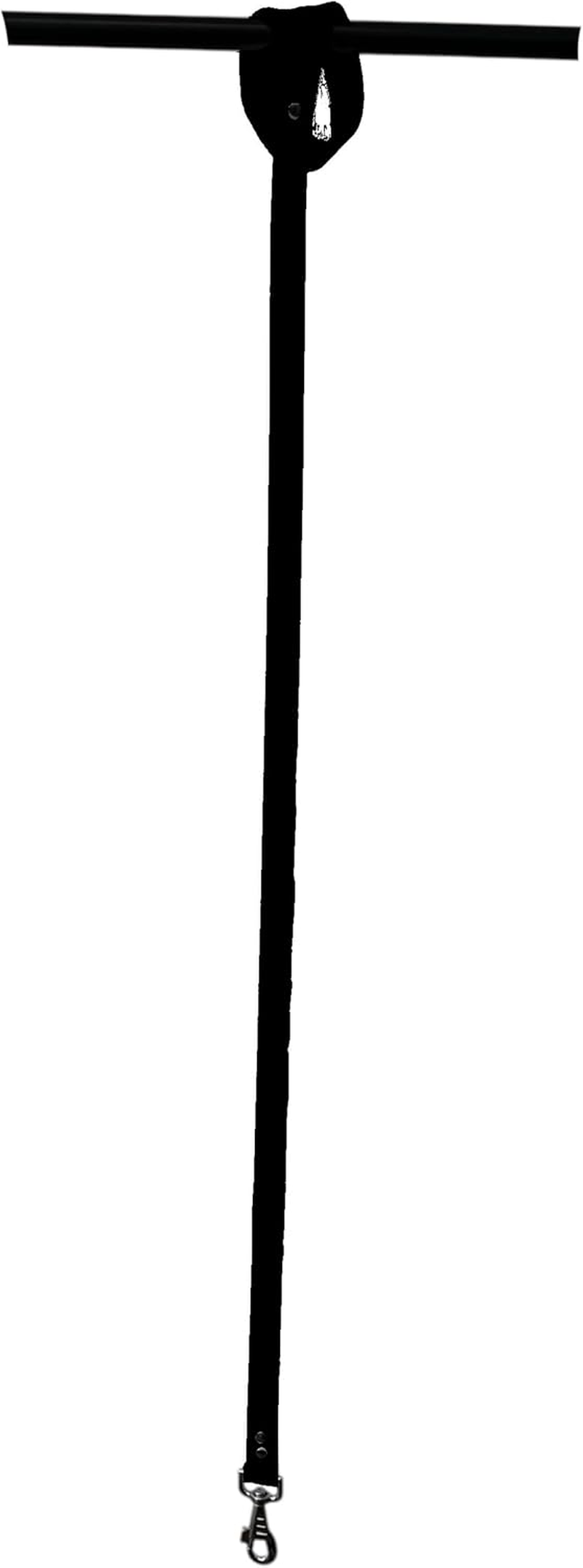 Biothane Dog Lead - 25Mm Wide - Black - Aquamarine image number 3