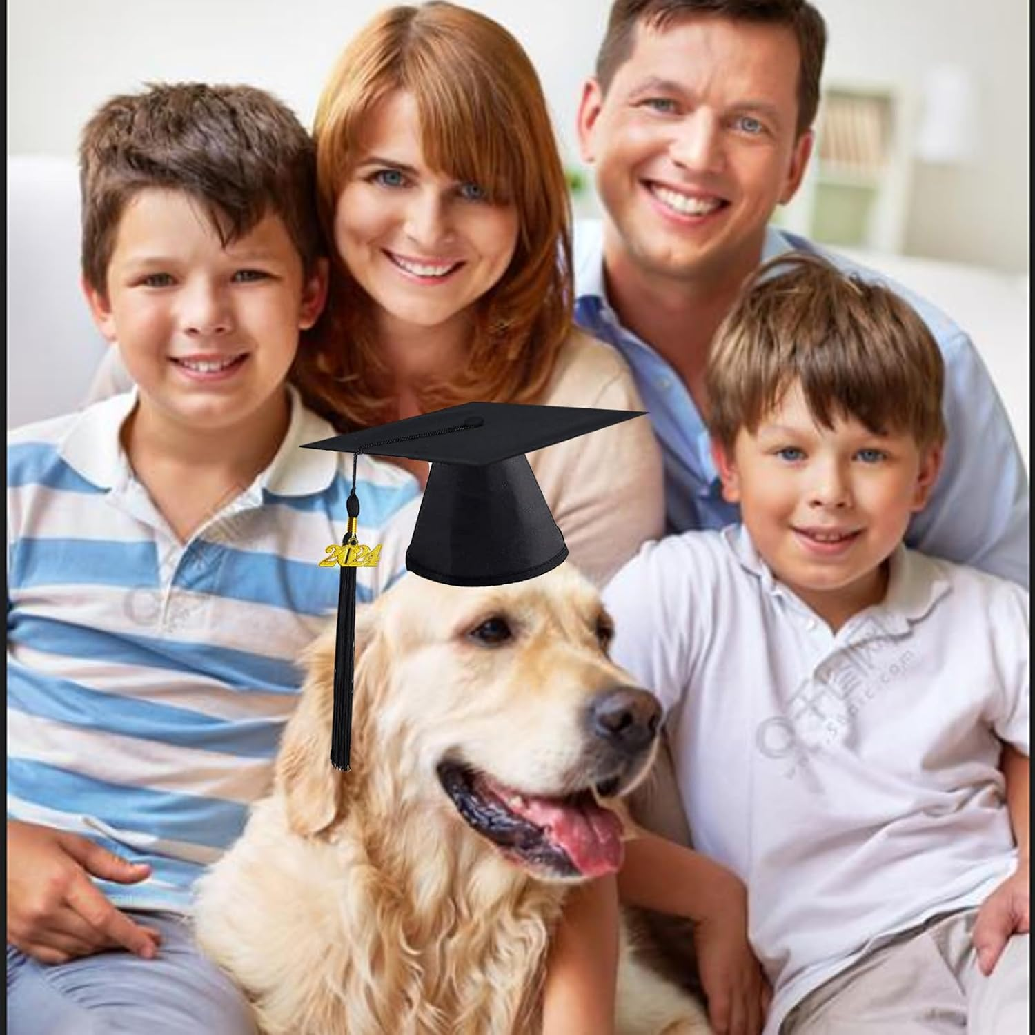 Pet Graduation Cap with 2024 Black Tassel - Dog Hat Costume for Cats and Puppies - Holiday Outfit Accessory for Party Dress-Up and Photo Prop (Black) - Yellow image number 6