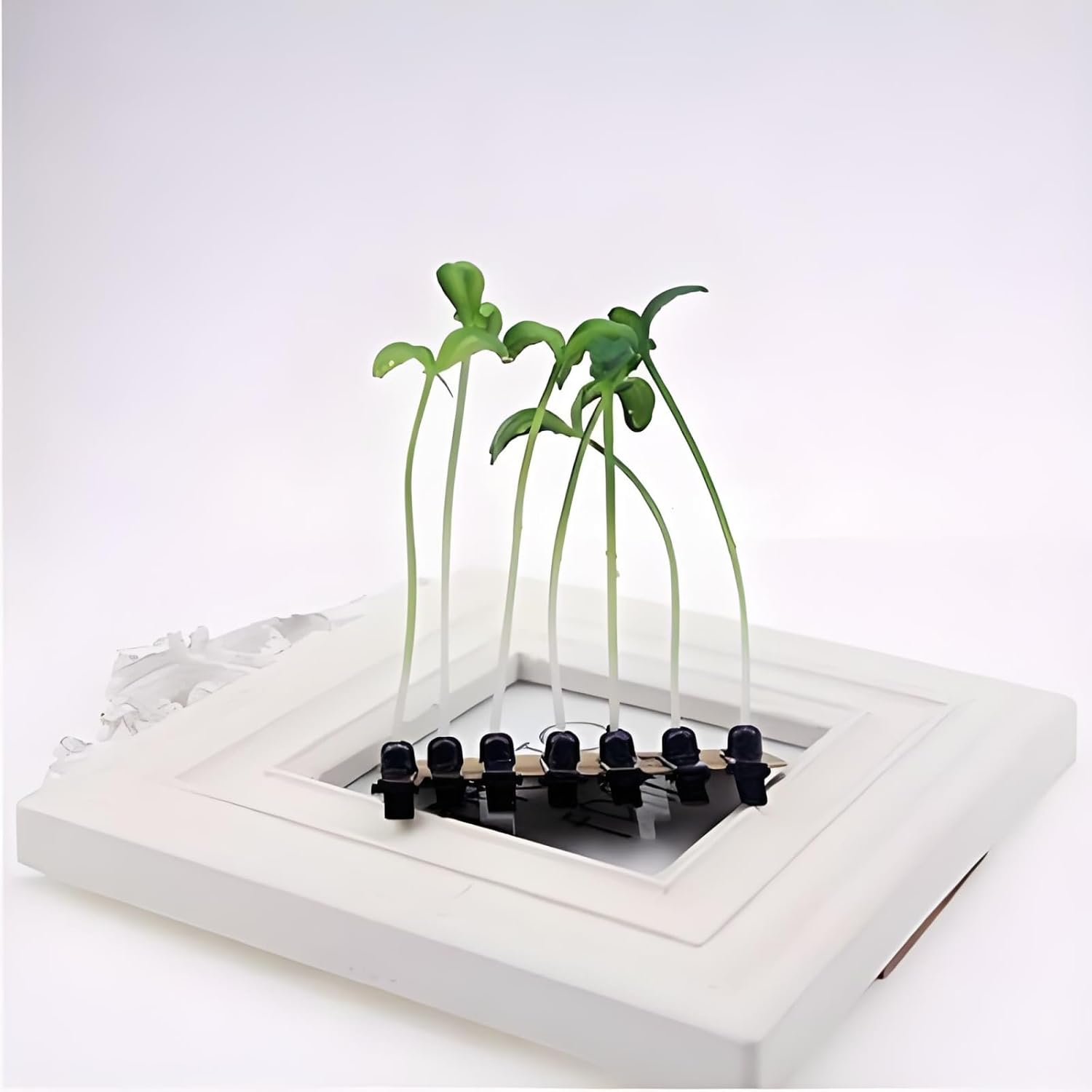 Set of 9 Eco Grass Hair Claws - Natural Look Bean Sprout Hair Clips Funny Leaf Accessories for Ponytail and Braids image number 4