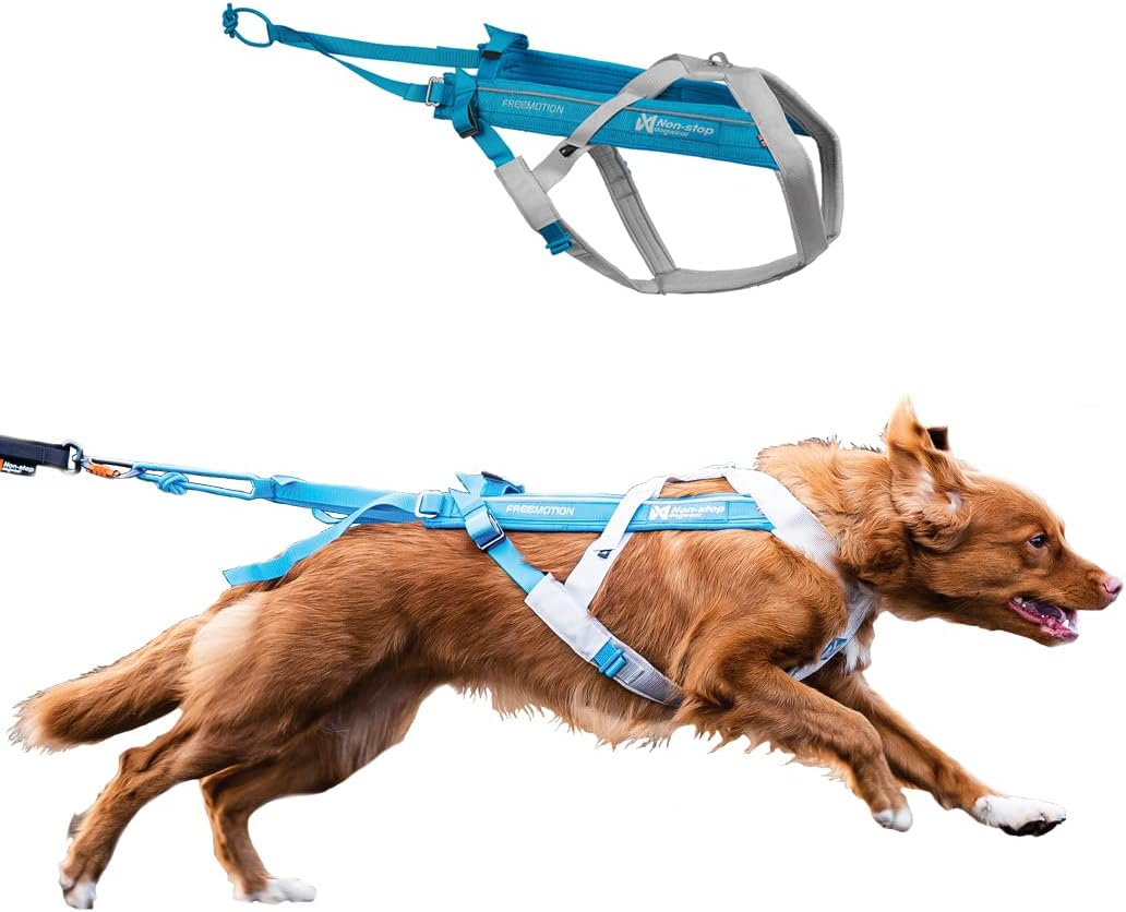 Non-Stop Dogwear Freemotion Harness 5.0 Dog Pulling Harness for Sports like Running, Biking and Skiing with Dogs, Professional Adjustable Dog Harness, Orange/Black, Size 4