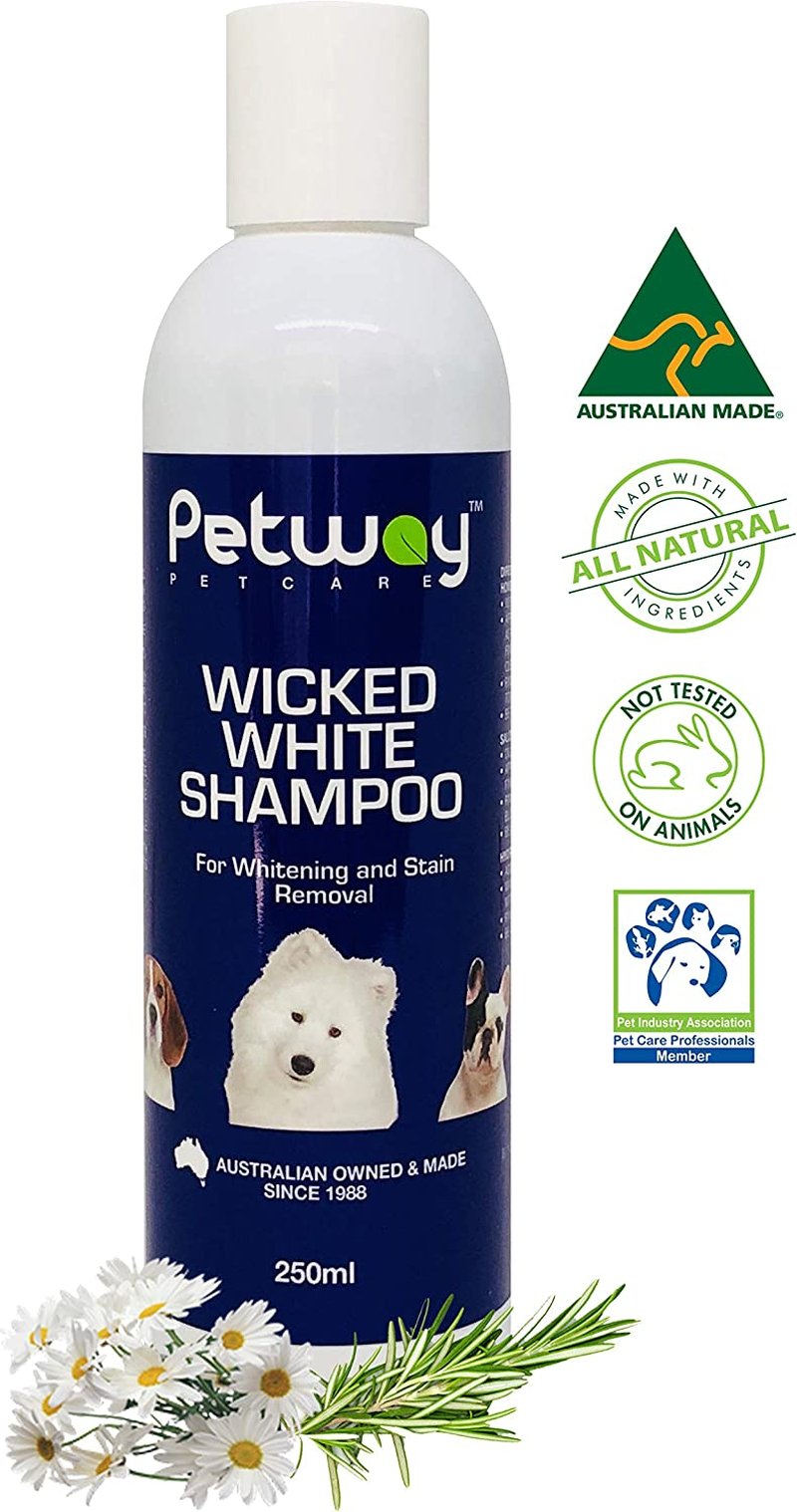 Petway Petcare Wicked White Whitening and Stain Removal Shampoo for Dogs with White Coat, Deep Cleanse to the Coat and Skin, Free of Phosphates and Parabens, Ph Balanced, Dog Shampoo Removes Stains, Dirt and Odor, 250Ml image number 3
