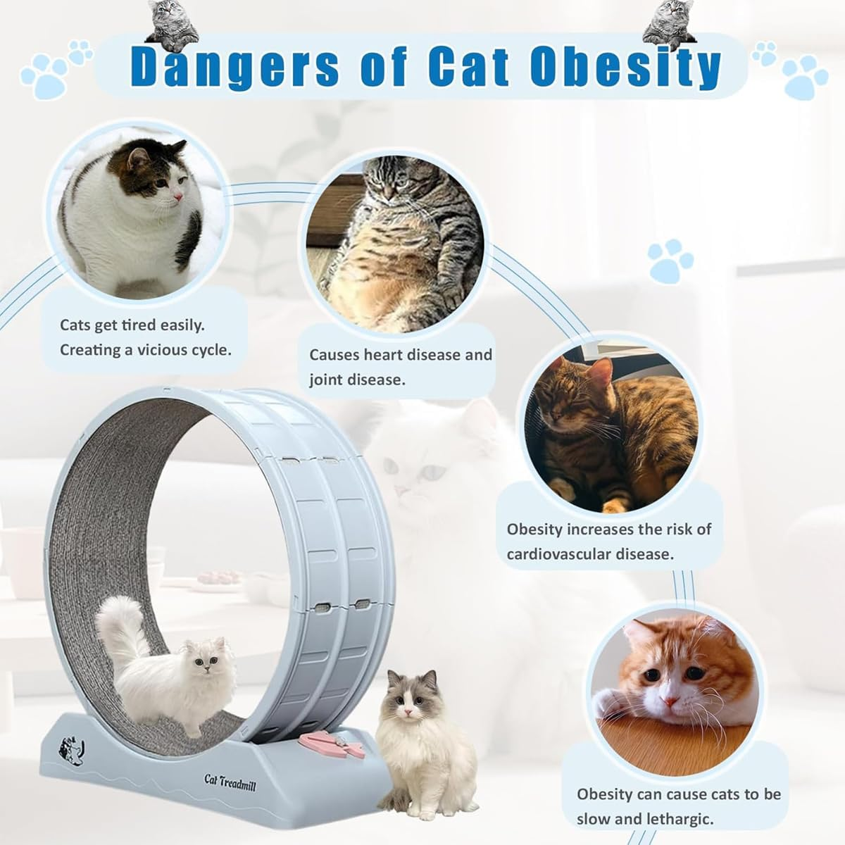 AIMALL Premium Cat Exercise Wheel, Quiet Indoor Running and Climbing Cat Treadmill, Replaceable Track Mat with Narrow Gap, Safety Lock and No-Assembly Snap-On Design, Perfect for Active Cats image number 6