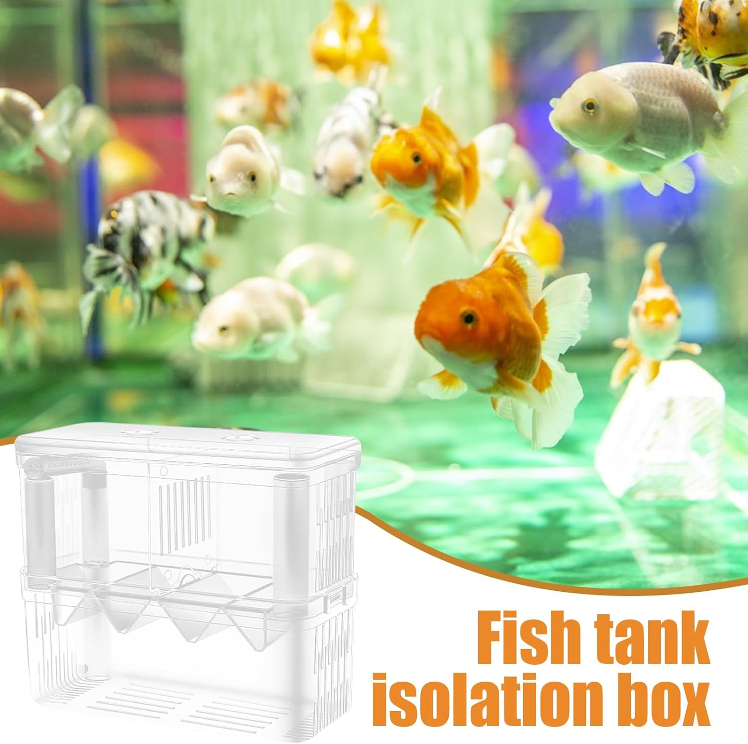 Aquarium Breeding Tank - Clear Double Layer Hatchery Box, Suction Cup Fish Incubator Fry, Transparent Nursery Isolation Chamber | Small Aquatic Pet Rearing Accessories image number 1