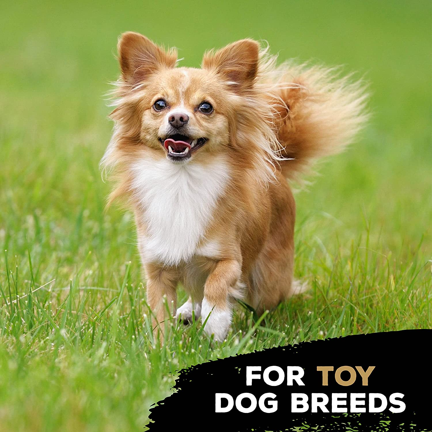 Tasty Bone Nylon Peanut Butter Trio Chew Dog Toy Extra Small image number 1