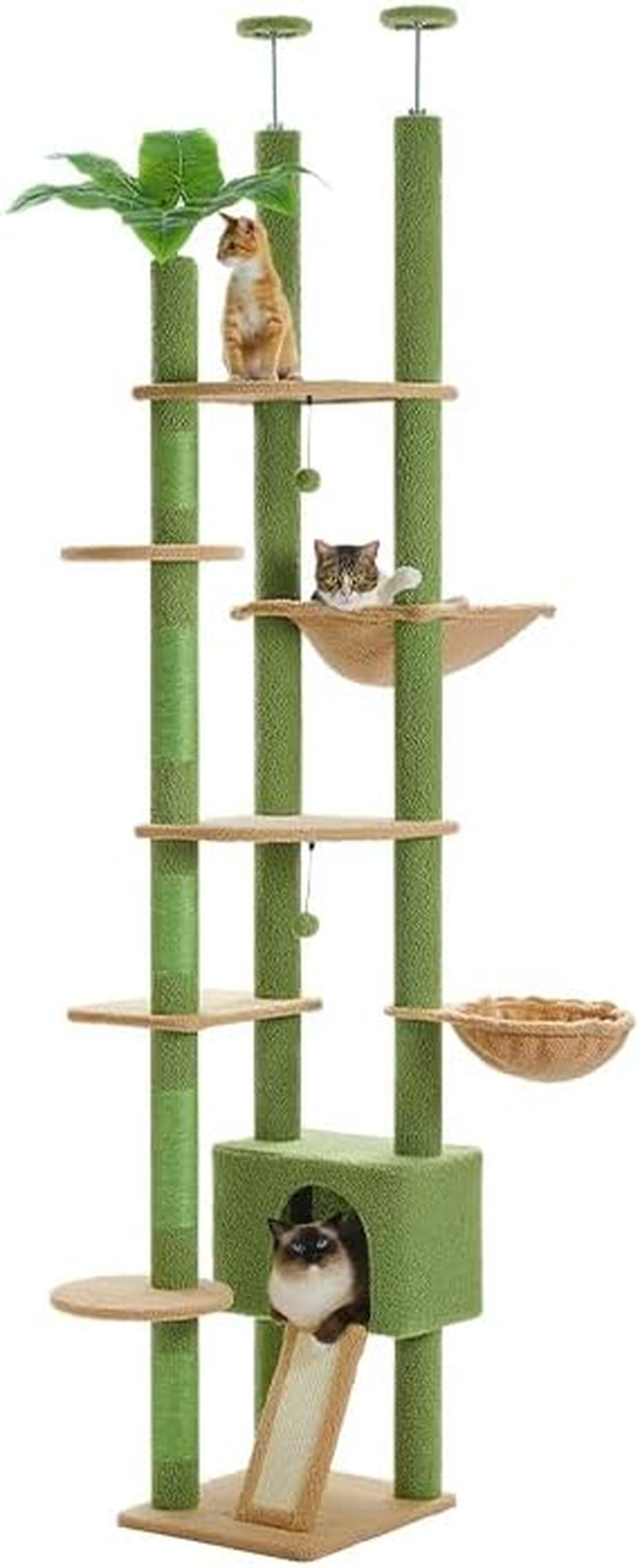 PAWZ Road Cat Tree, Floor to Ceiling Cat Tower Height Adjustable(230-252Cm), Cactus Cat Climbing Tree with Cat Condo, Cozy Hammock and Cat Scratching Posts for Indoor Large Cats, Green