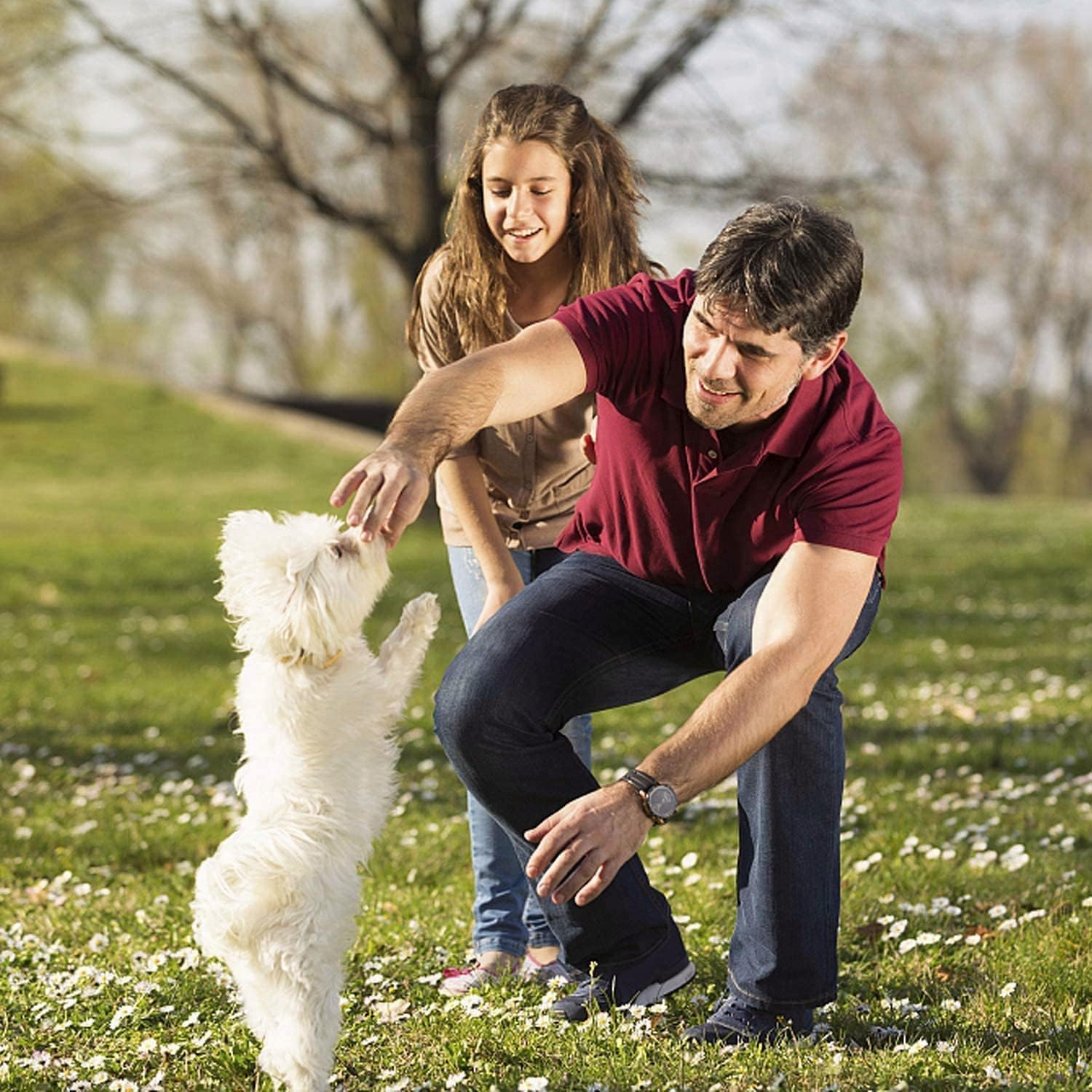 Dog Whistle Stop Barking 2-Pack &ndash; Ultrasonic Adjustable Silent Dog Training Whistle with Lanyard (Black & White), Professional Recall & Anti-Bark Tool for Dogs, Portable for Hiking/Park/Home image number 3