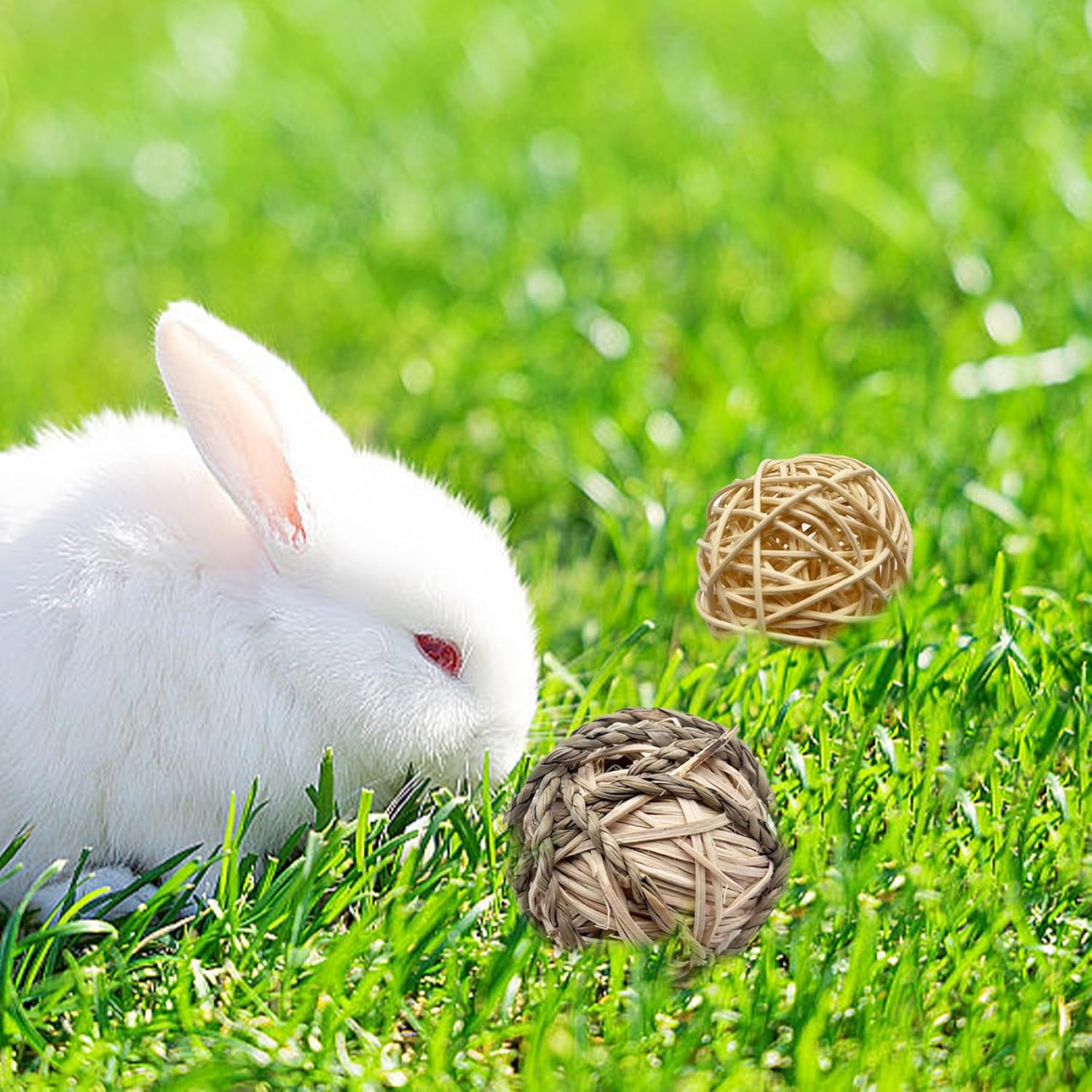 8Pcs Natural Safe Rabbit Chew Toys, Small Pet & Young Animal Chew Bunny Toys, round Hamster Ball, Guinea Pig & Chinchilla Toys, 8 Count, Unscented, Not Water Resistant, Outdoor Use image number 4