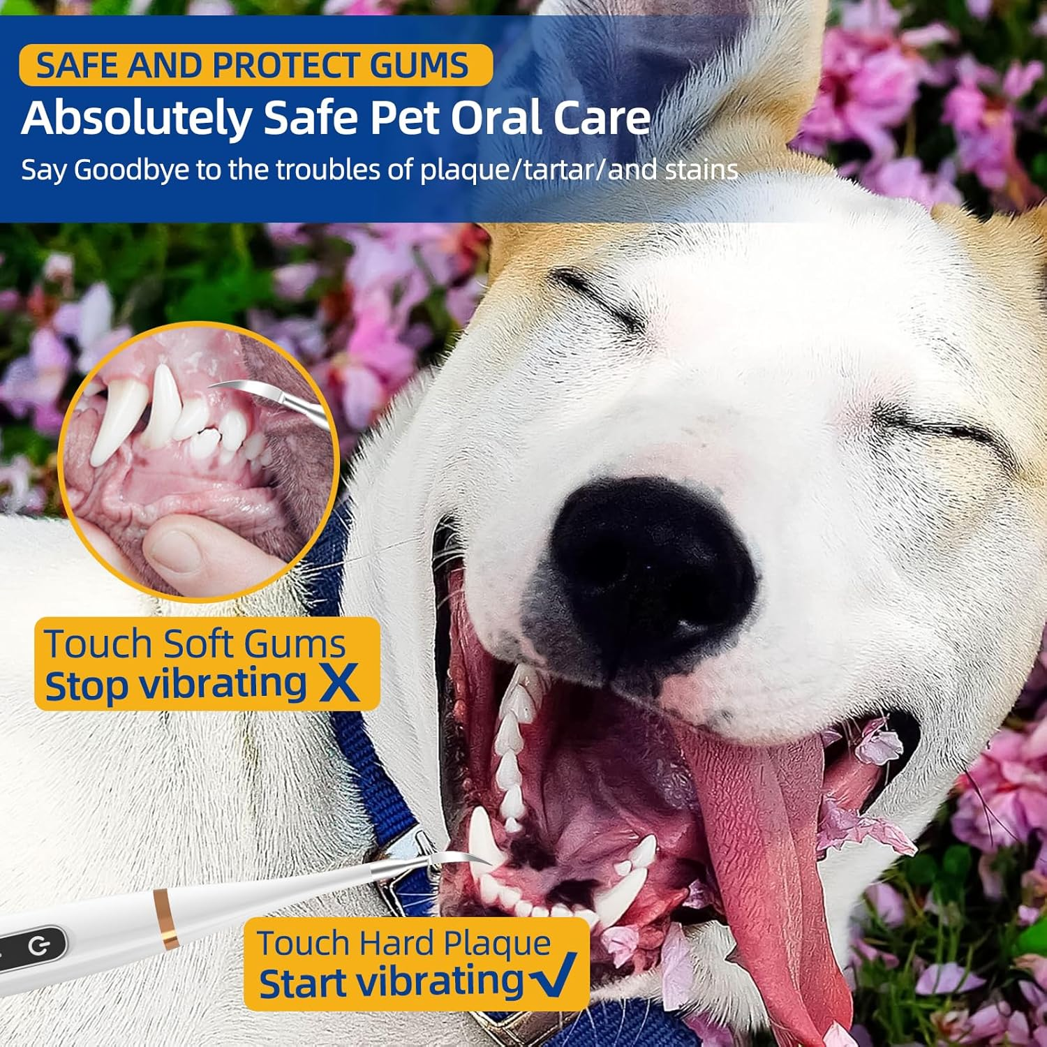 Dental Care Cleaner Kit for Dogs Cats Reduces Plaque & Tartar Buildup，Dog Electric Toothbrush Kit Gentle and Comfortable for Pet Teeth Oral Care image number 1