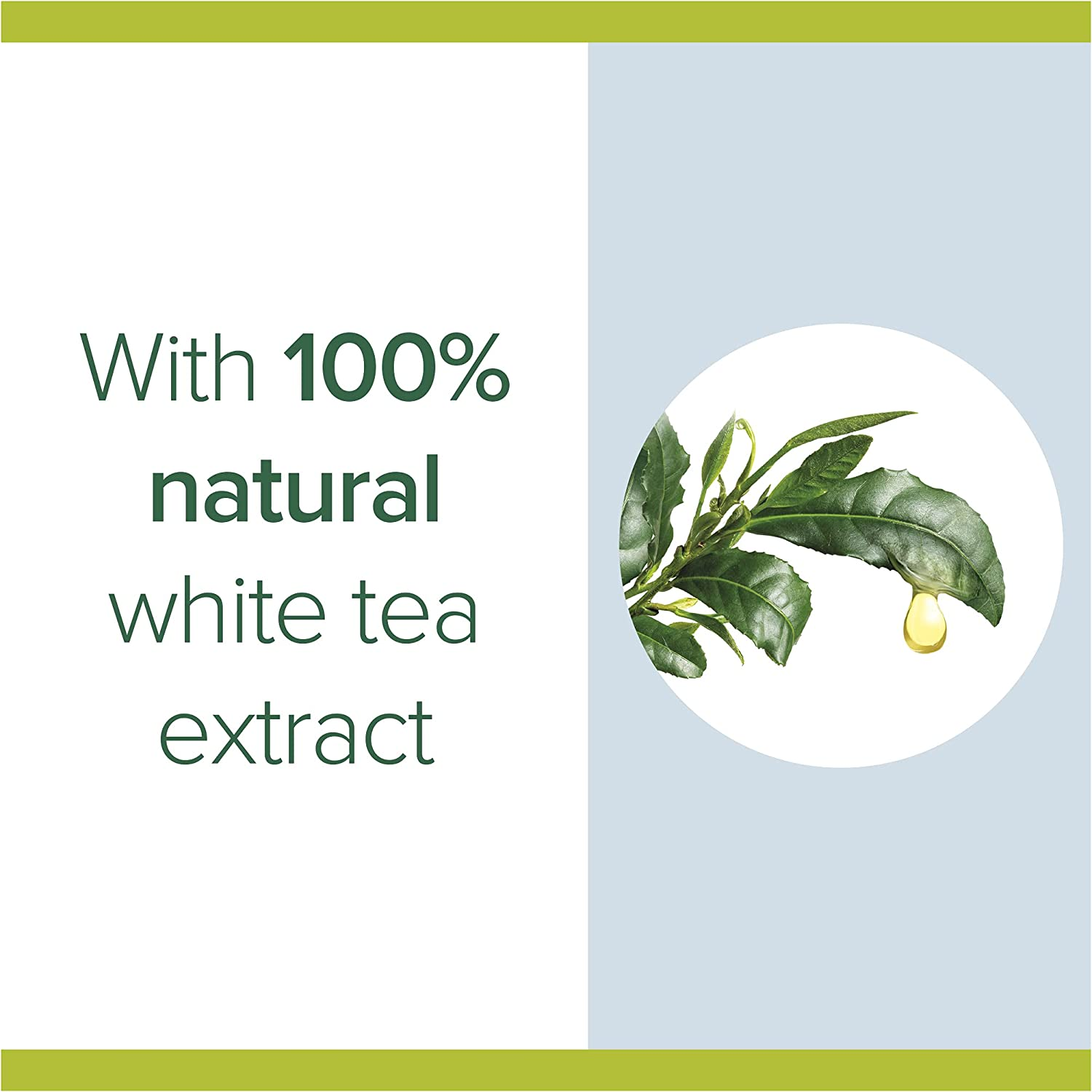 Palmolive Antiba Handwash 250 Ml (Pack of 3) image number 3