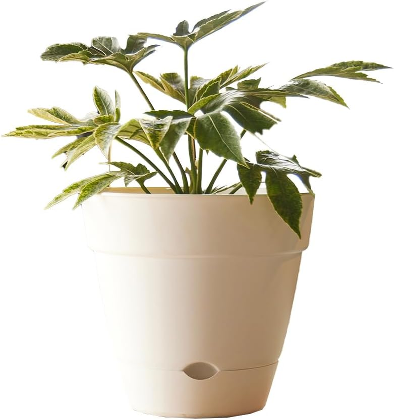 Northcote Pottery Leonard Self-Watering Pot, 31 X 27 Cm Size, Green - Sage image number 5